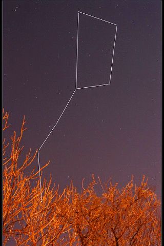 Constellation of Ursa Major Constellation of Ursa Major
