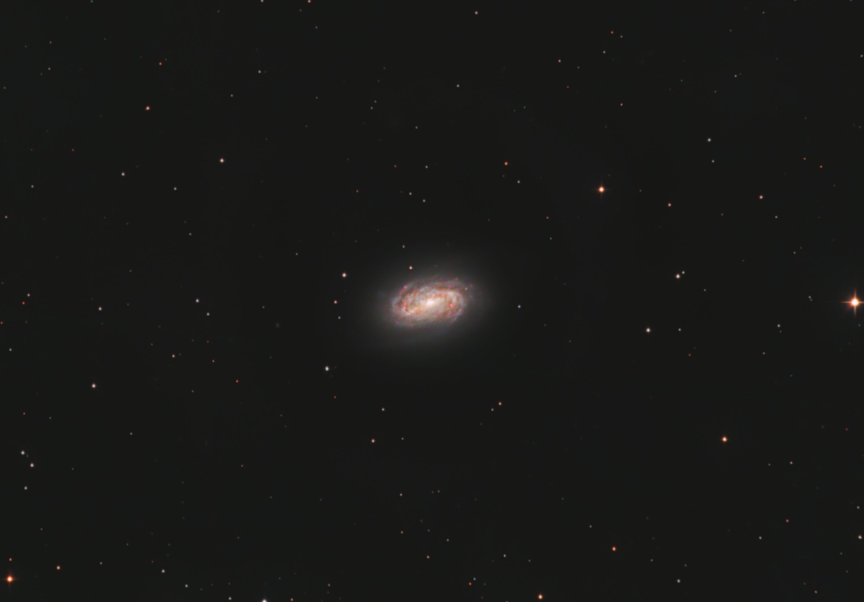 NGC2903_clone_crop NGC2903 (8x 300s RGB)