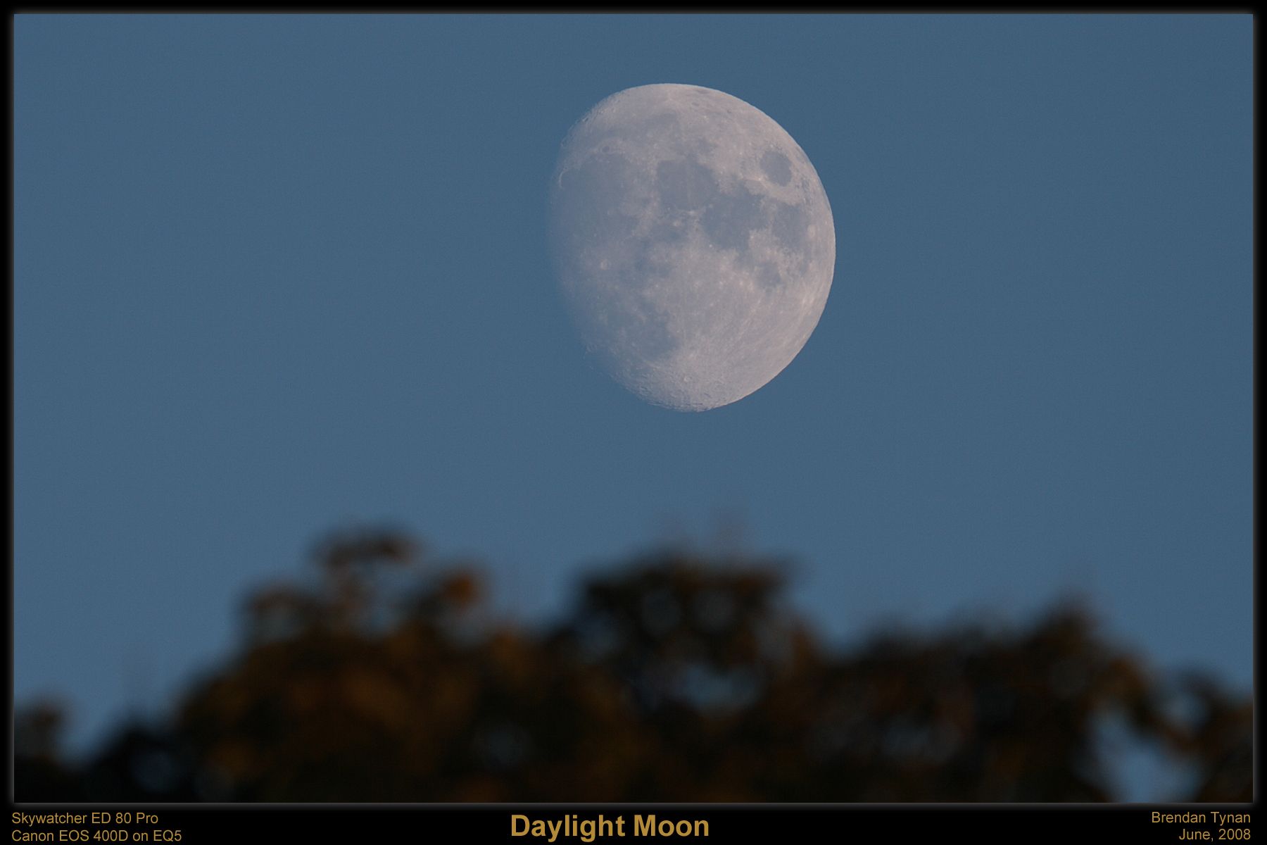 Rising Moon 14.06.2008 (400D ED80) Moon
