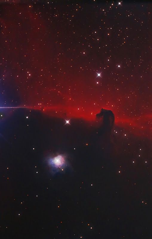 Horsehead (Portrait) B33 - The Horsehead Nebula