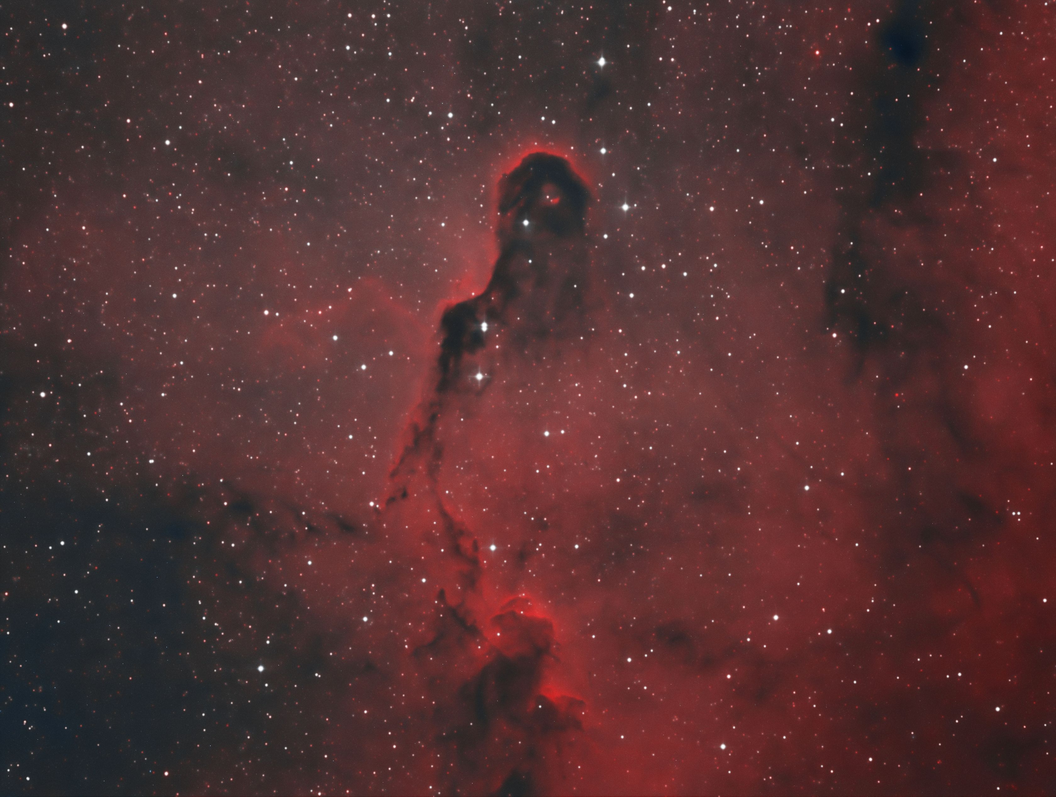 IC1396 12x 300s HOO) IC1396 - Elephants Trunk Nebula