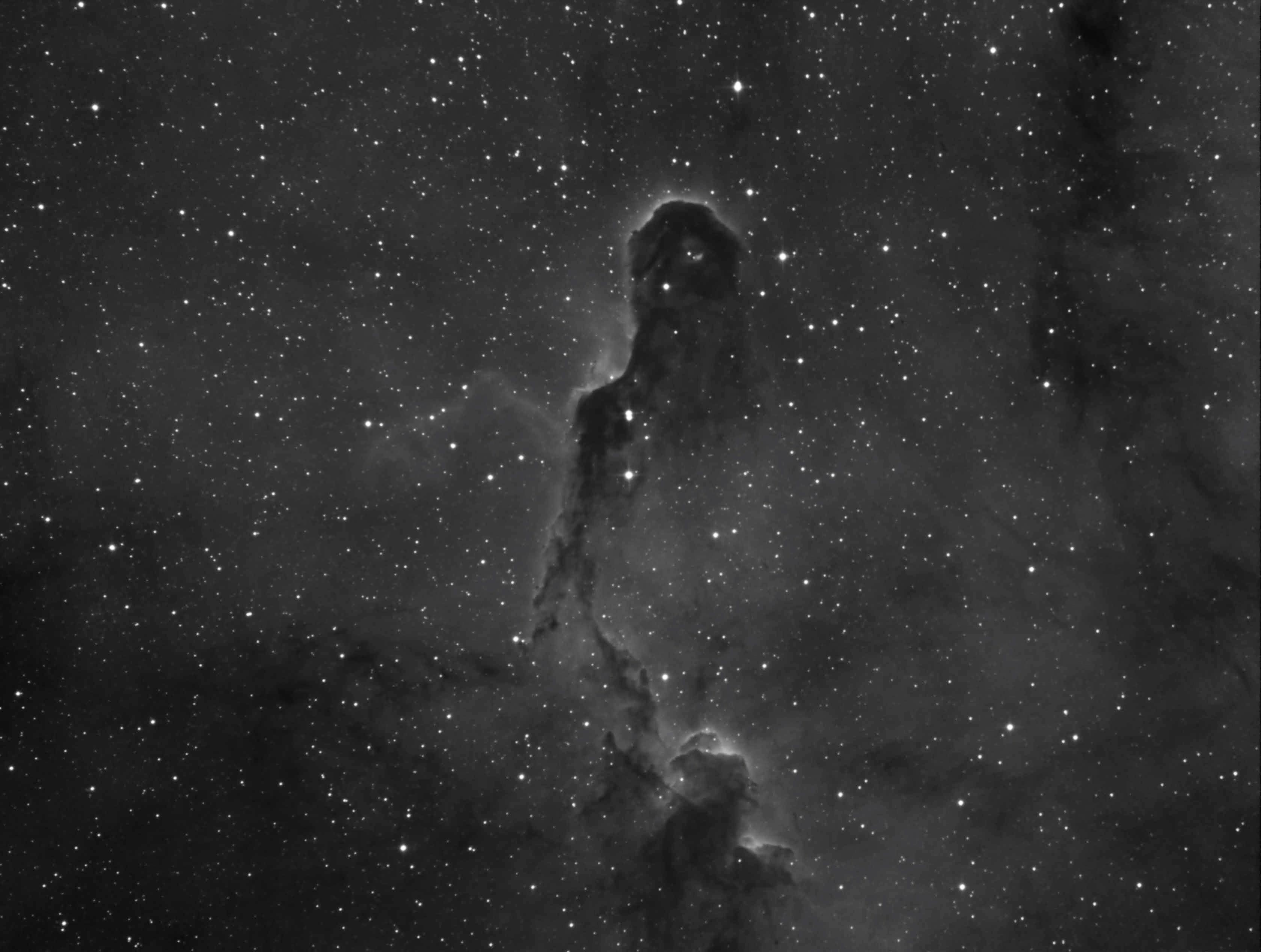IC1396 IC1396 - Elephants Trunk Nebula