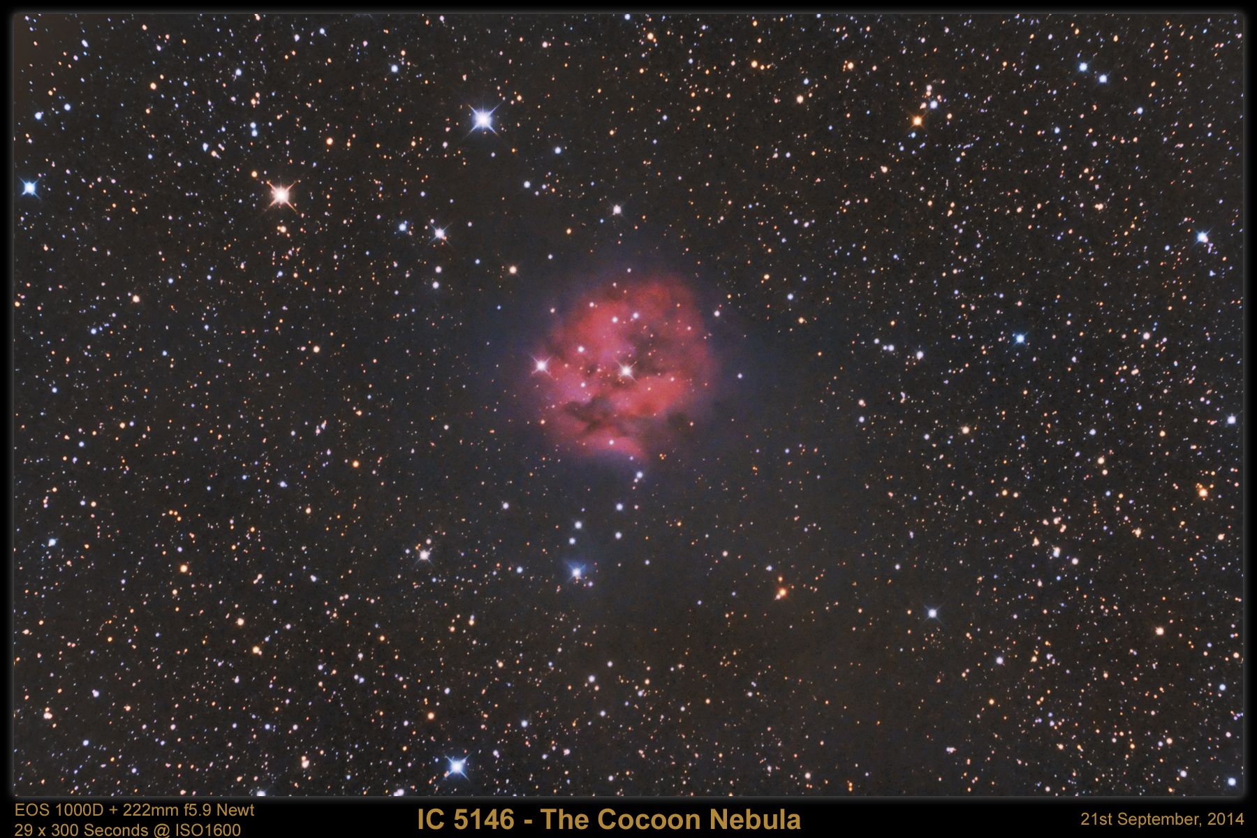 IC5146 - The Cocoon Nebula (29x5m) IC5146 - The Cocoon Nebula