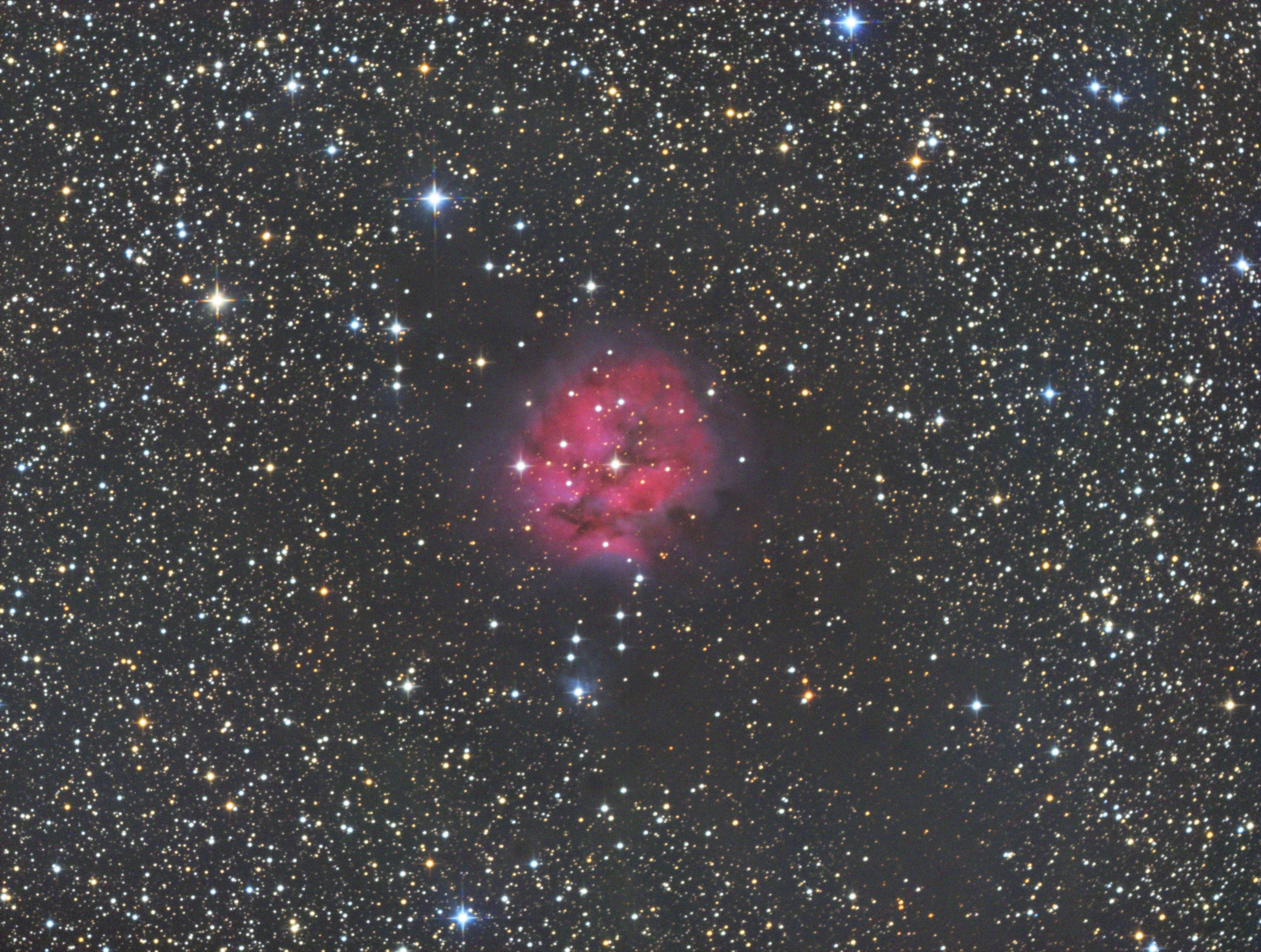Image10_ABE IC5146 - Rosette Nebula