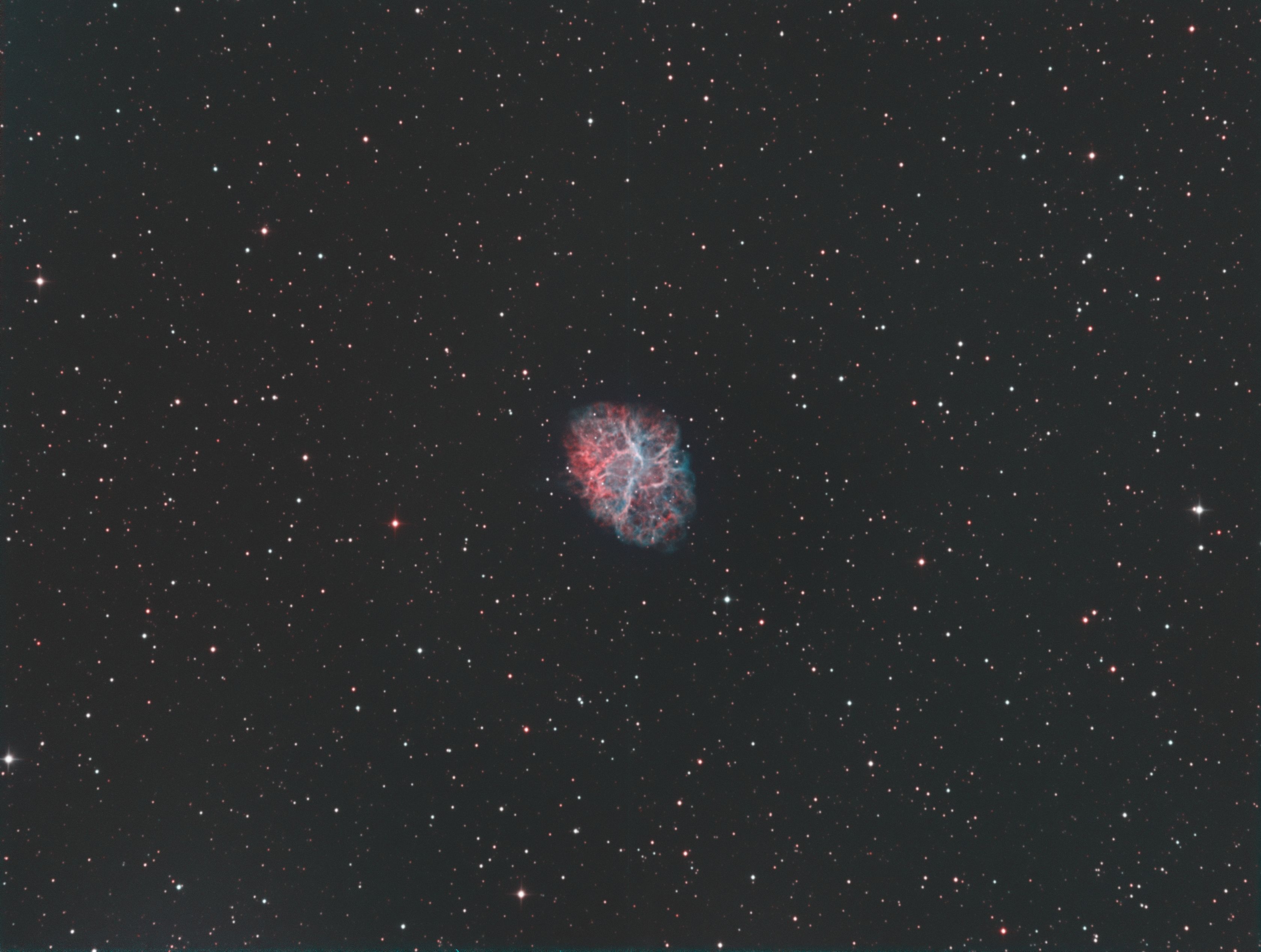 M1 (30x300s HOO) M1 - The Crab Nebula