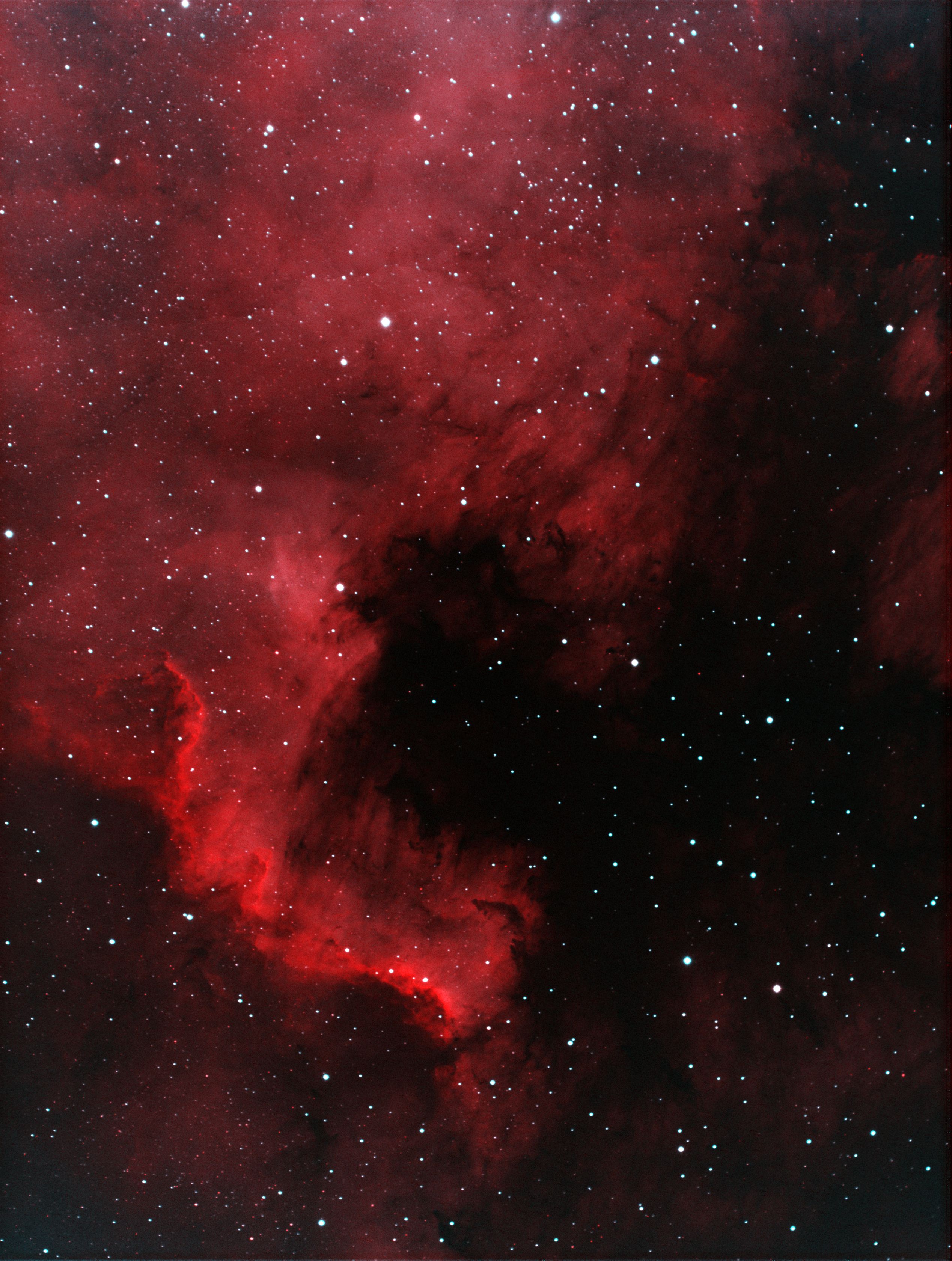 NGC 7000 North America Nebula NGC7000 - North America Nebula