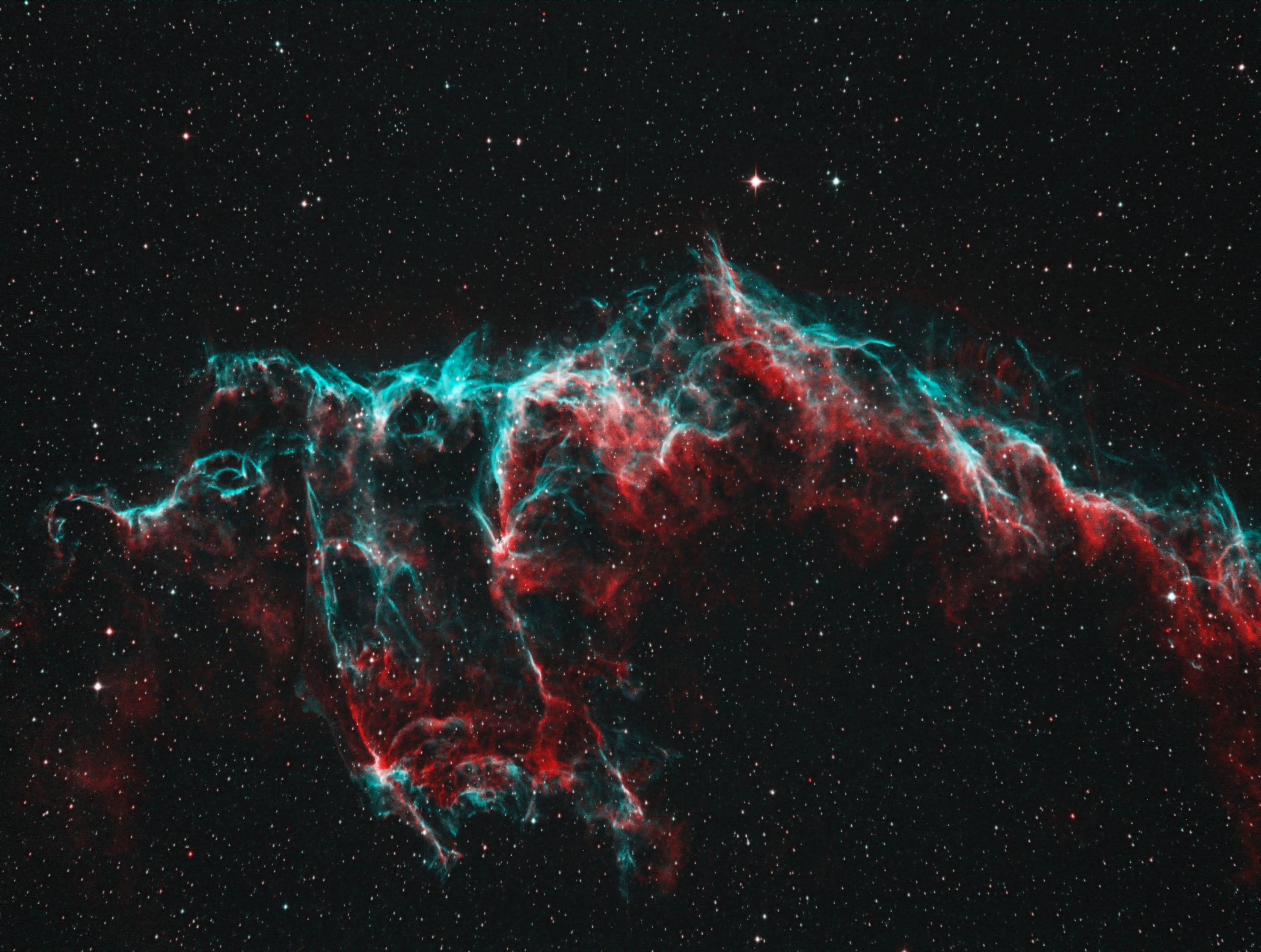 NGC6995 NGC6995 - The Bat Nebula