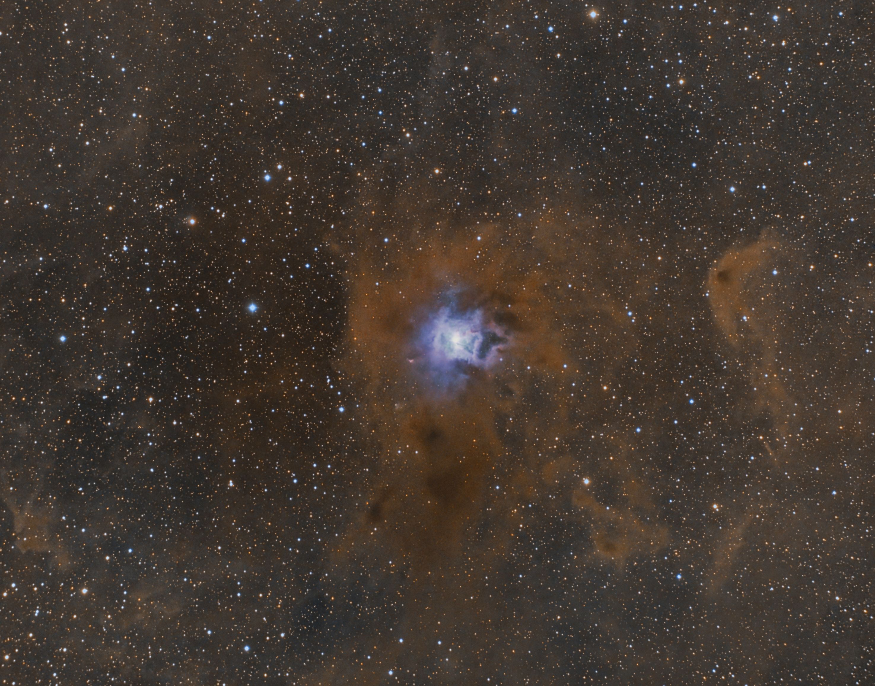 NGC7023 - The Iris Nebula NGC7023 - The Iris Nebula (40x 480s RGB)