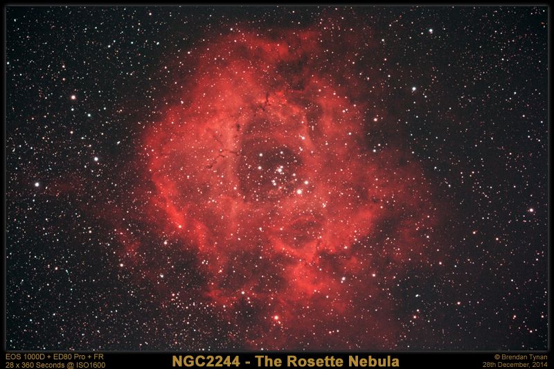 Rosette NGC2244 - The Rosette Nebula