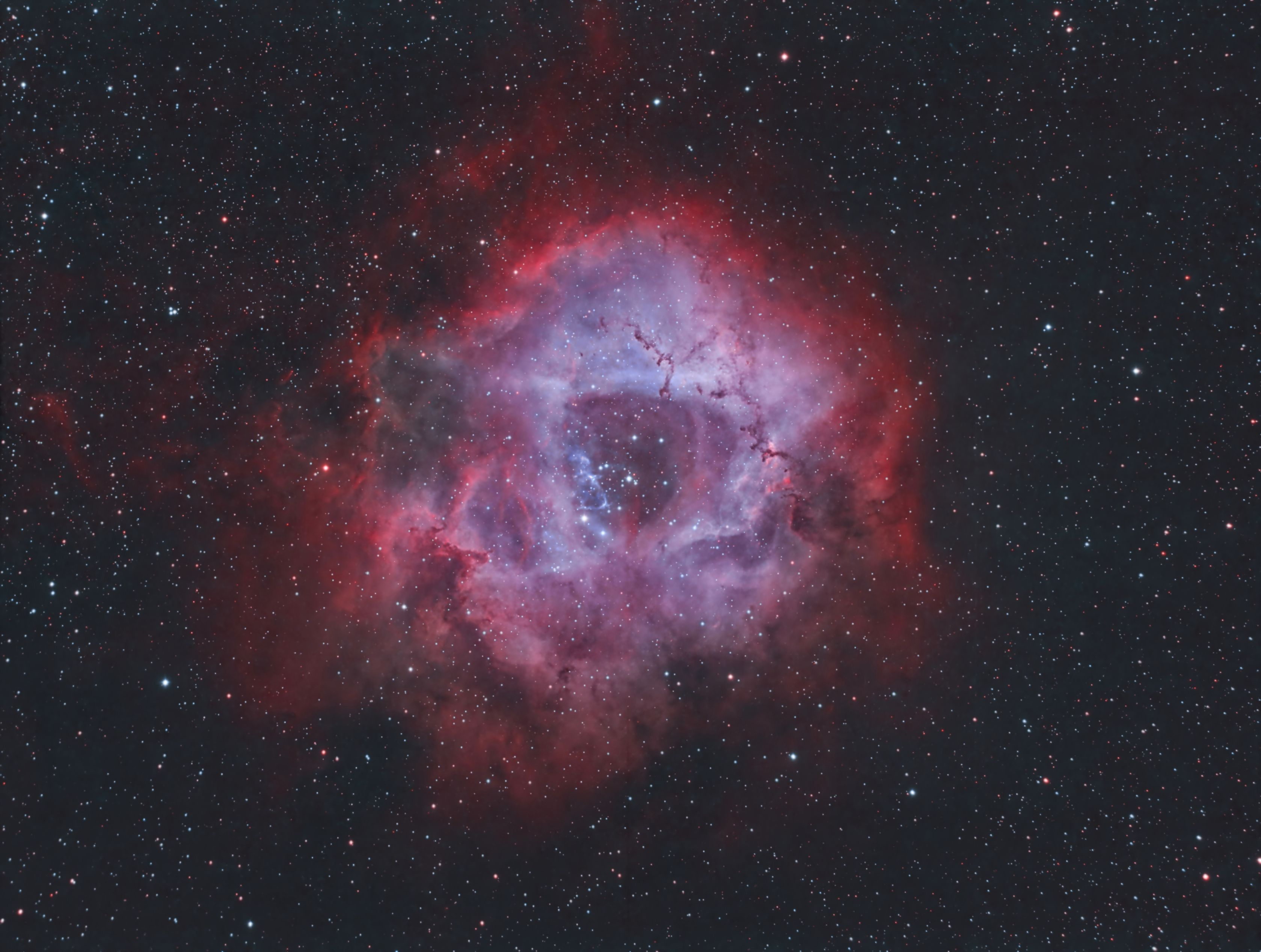 Rosette_HOO SH2-275 - The Rosette Nebula (30x 360s HOO)