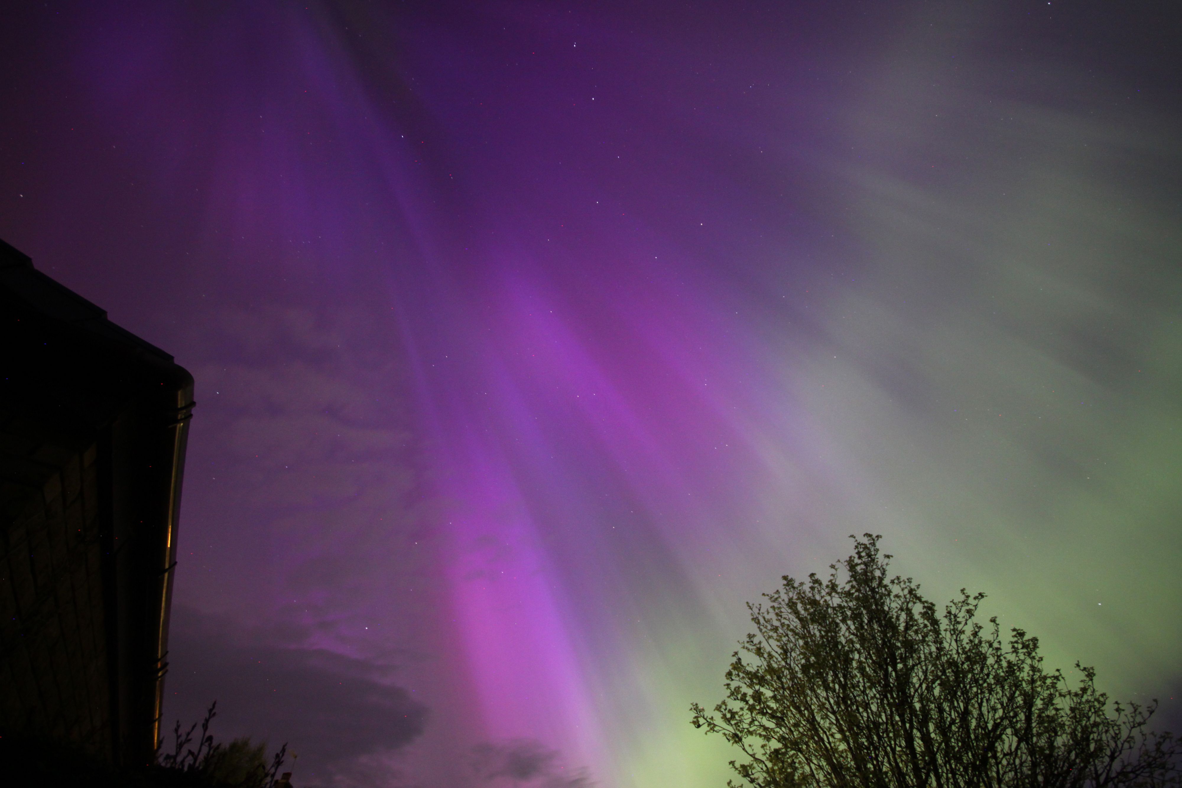 IMG_5725 Aurora display - 10th May, 2024