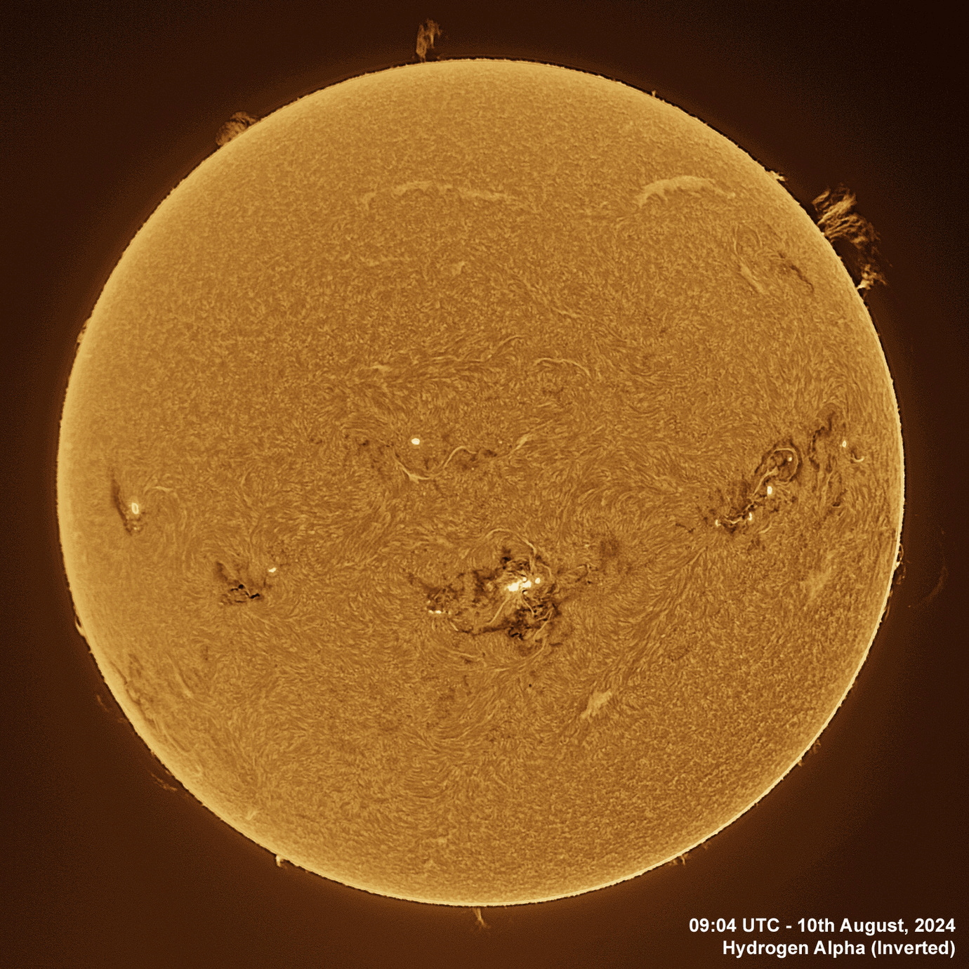 10th August 2024 Solar animation - Ha and White Light, 10th August, 2024
