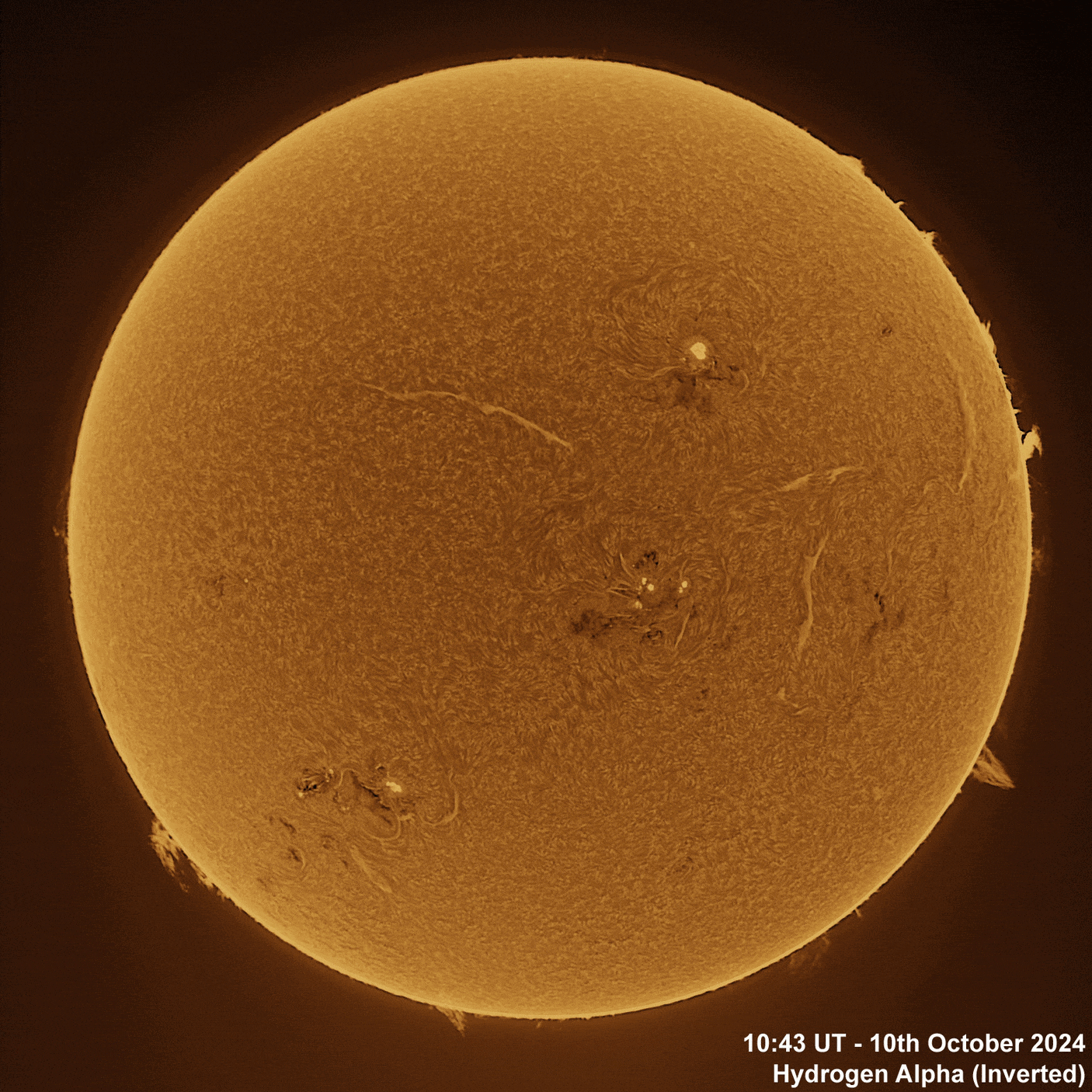 10th October 2024 Solar animation - Ha and White Light, 10th October, 2024