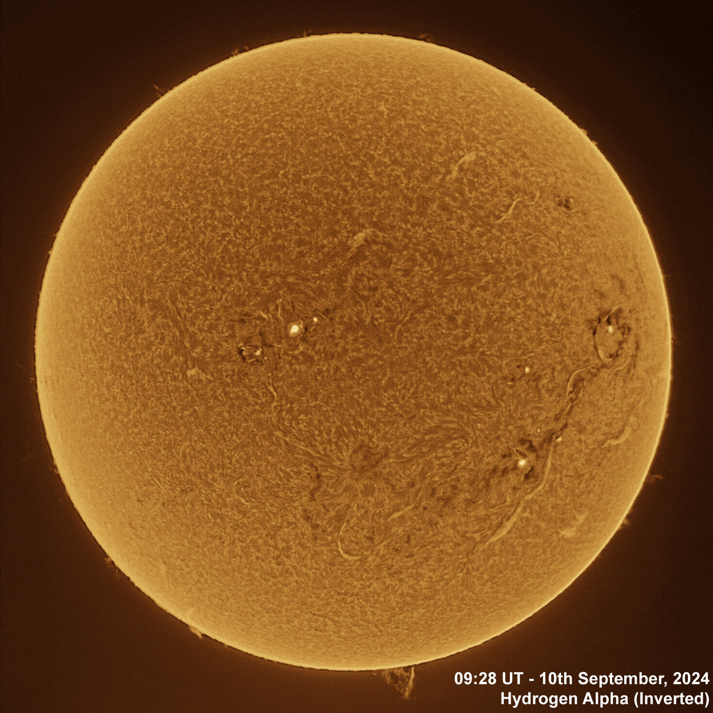 10th September 2024 Solar animation - Ha and White Light, 10th September, 2024