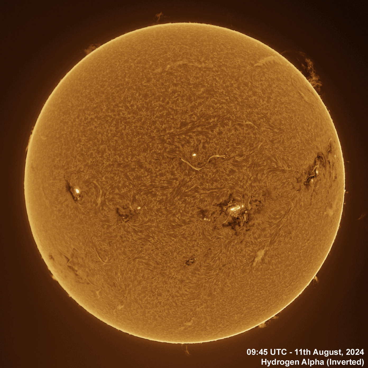 11th August 2024 Solar animation - Ha and White Light, 11th August, 2024