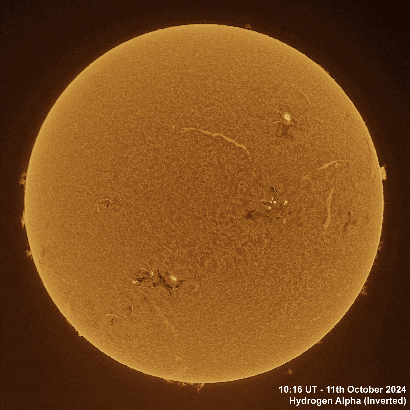 11th October 2024 Solar animation - Ha and White Light, 11th October, 2024