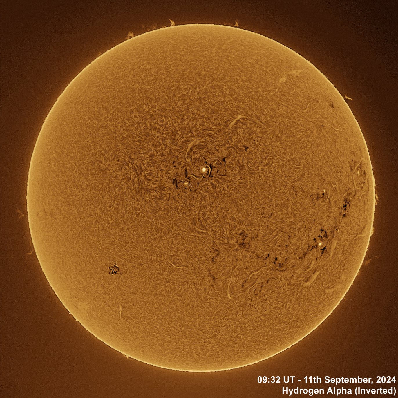 11th September 2024 Solar animation - Ha and White Light, 11th September, 2024