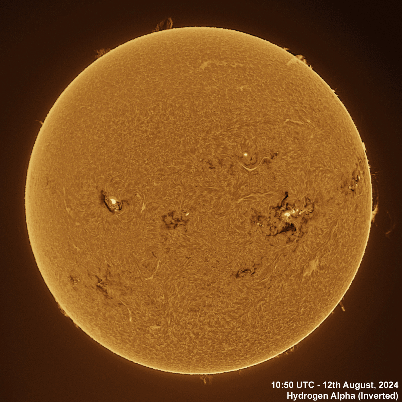 12th August 2024 Solar animation - Ha and White Light, 12th August, 2024