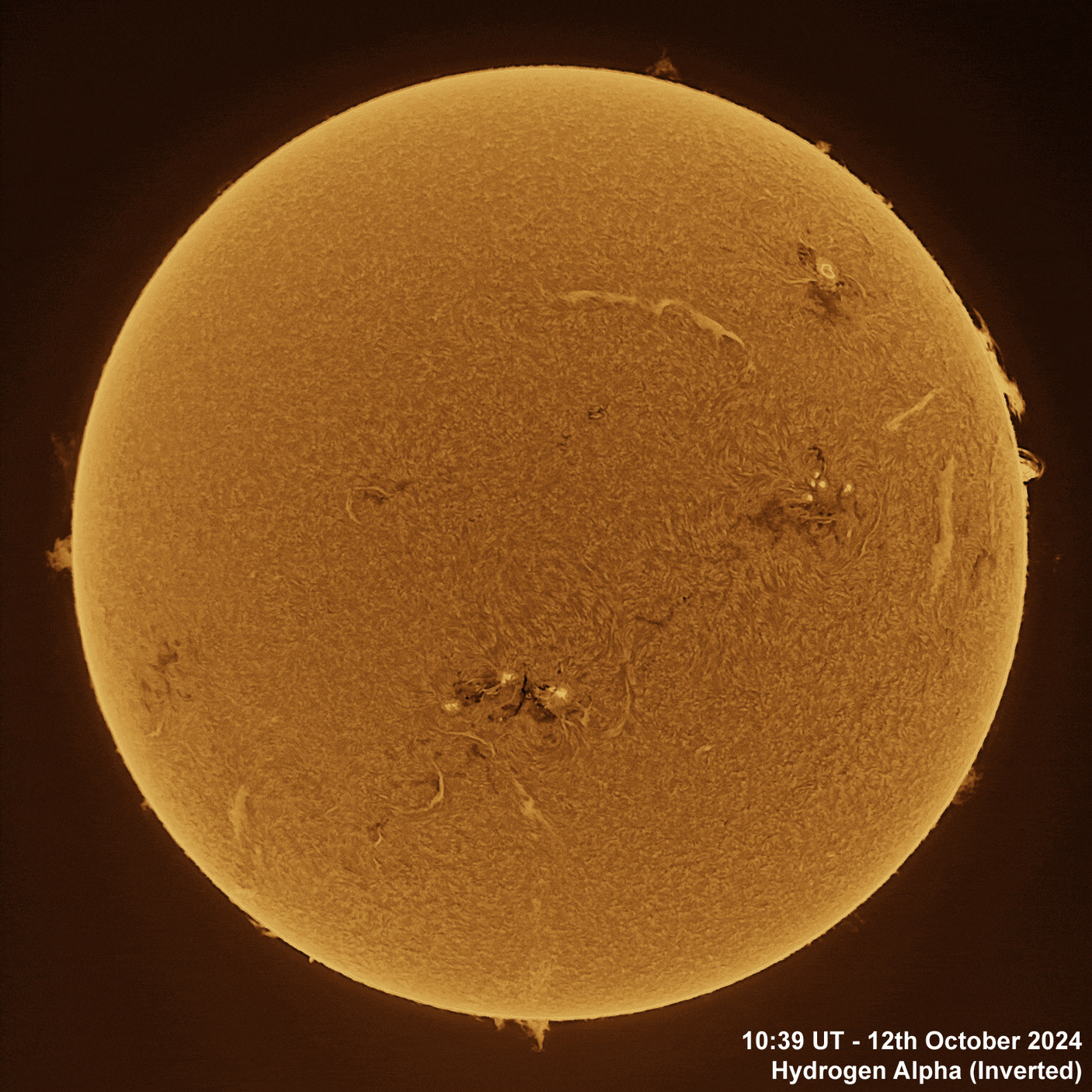 12th October 2024 Solar animation - Ha and White Light, 12th October, 2024