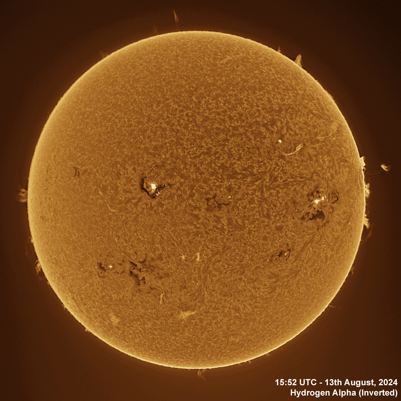 13th August 2024 Solar animation - Ha and White Light, 13th August, 2024