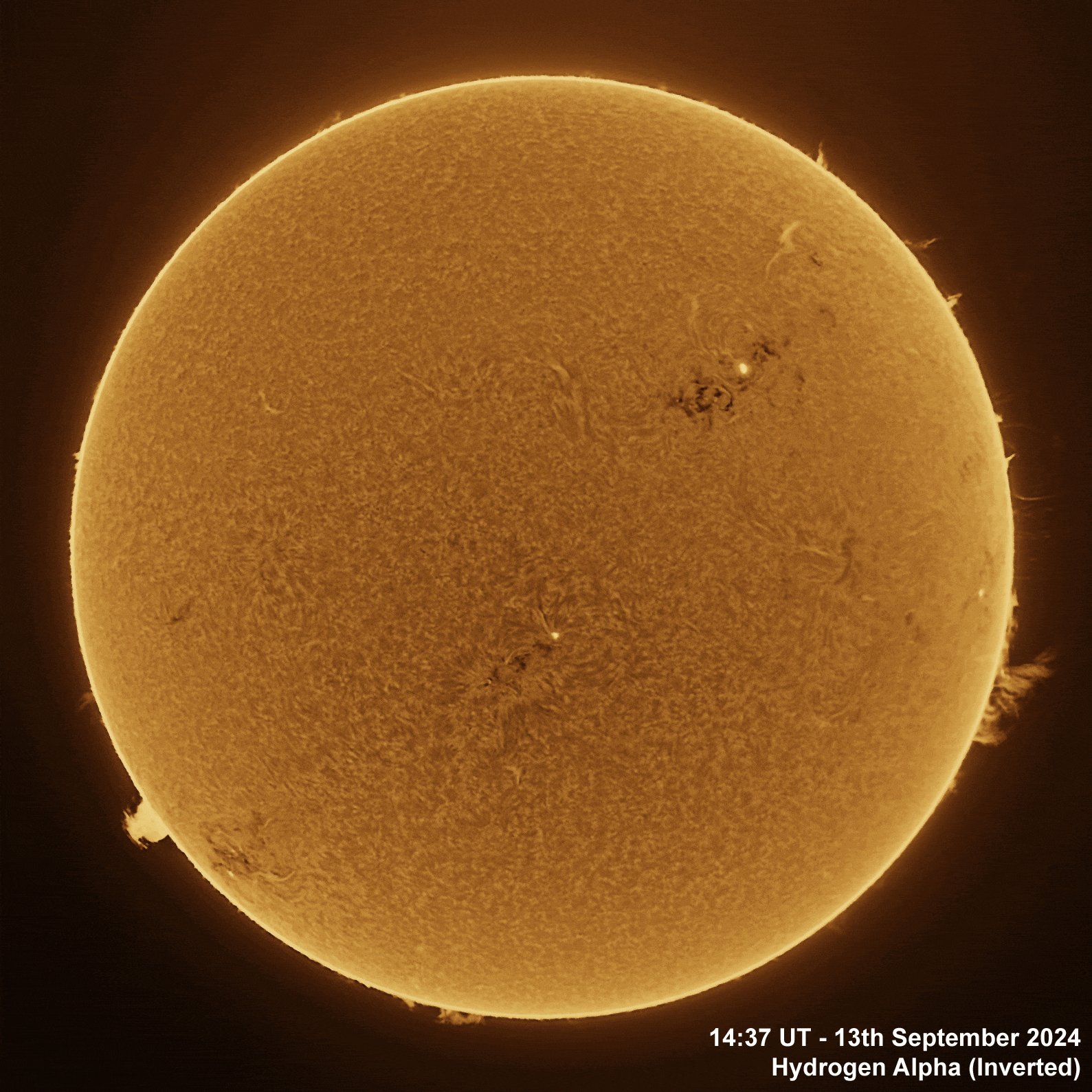 13th September 2024 Solar animation - Ha and White Light, 13th September, 2024