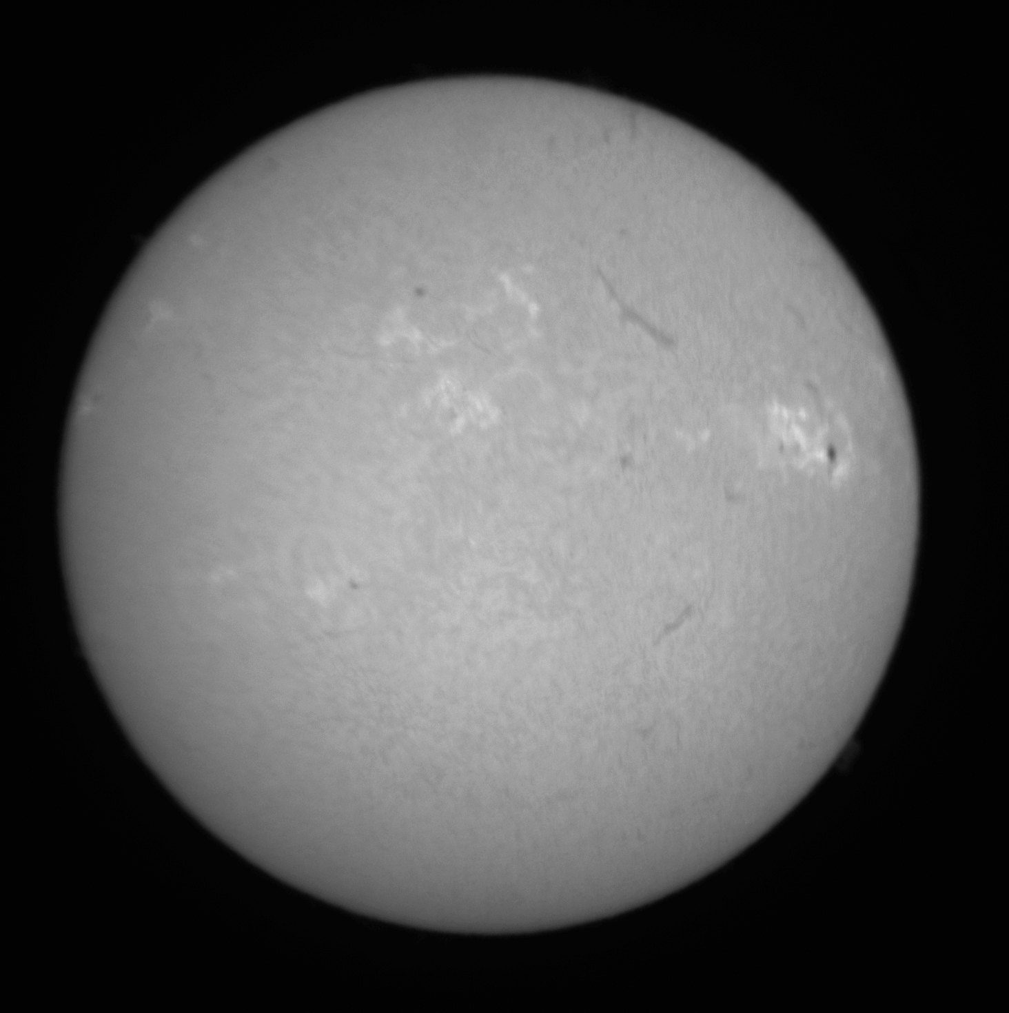 14-07-2024 Bird fly by Sun 14th July 2024 - An intruder whilst imaging