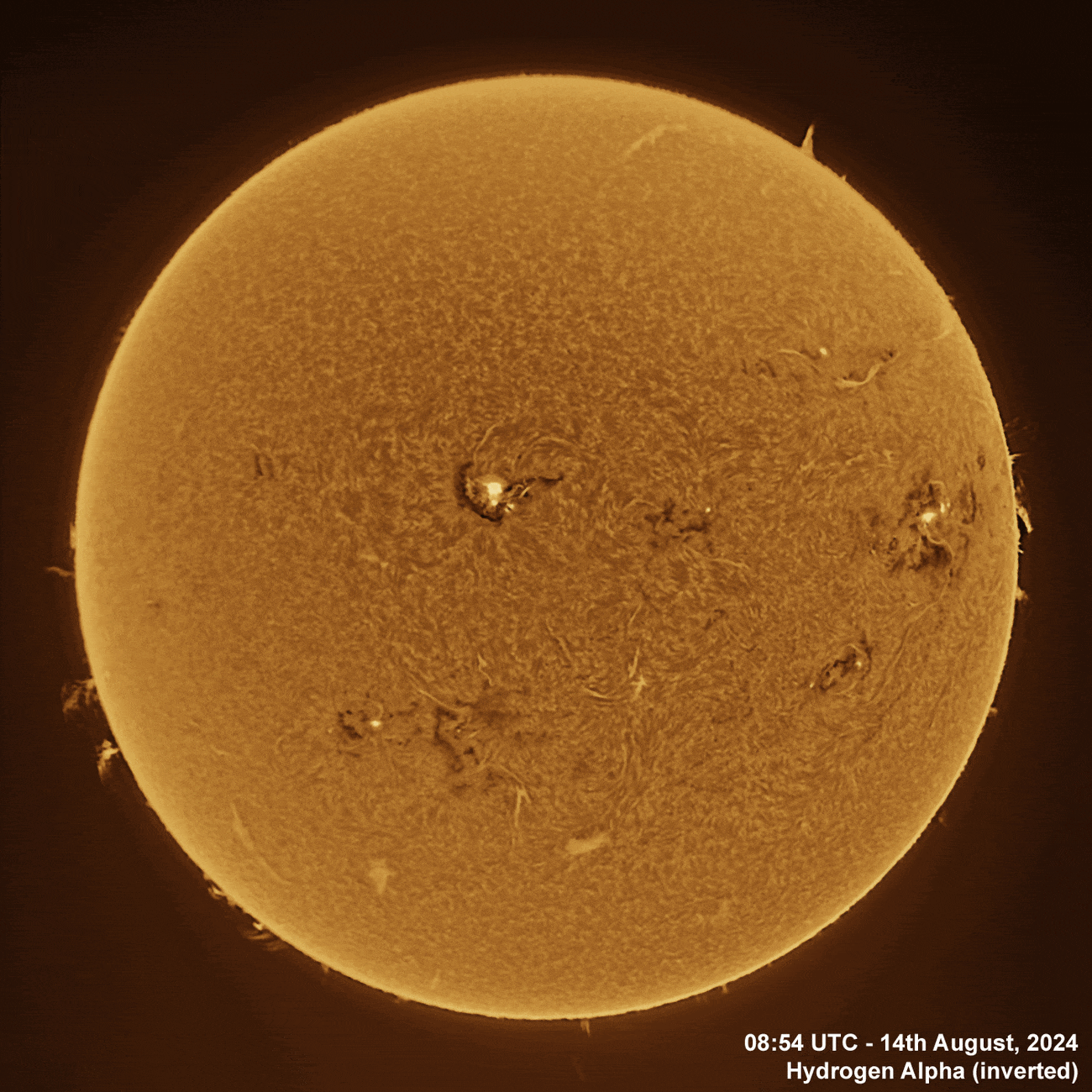 14th August 2024 Solar animation - Ha and White Light, 14th August, 2024