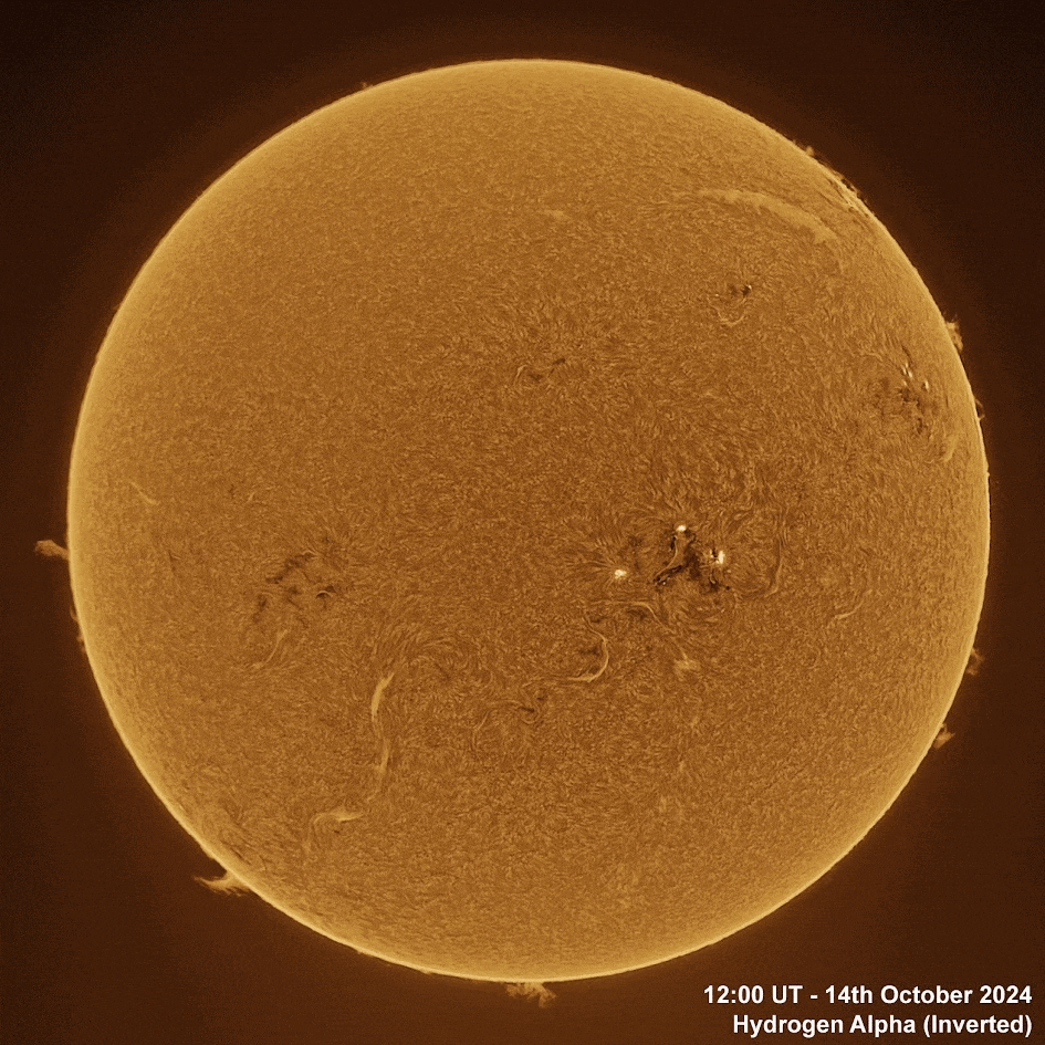 14th October 2024 Solar animation - Ha and White Light, 14th October, 2024