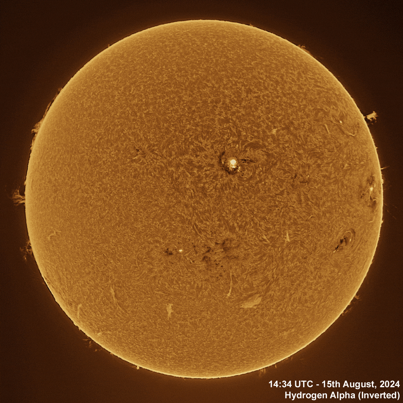 15th August 2024 Solar animation - Ha and White Light, 15th August, 2024