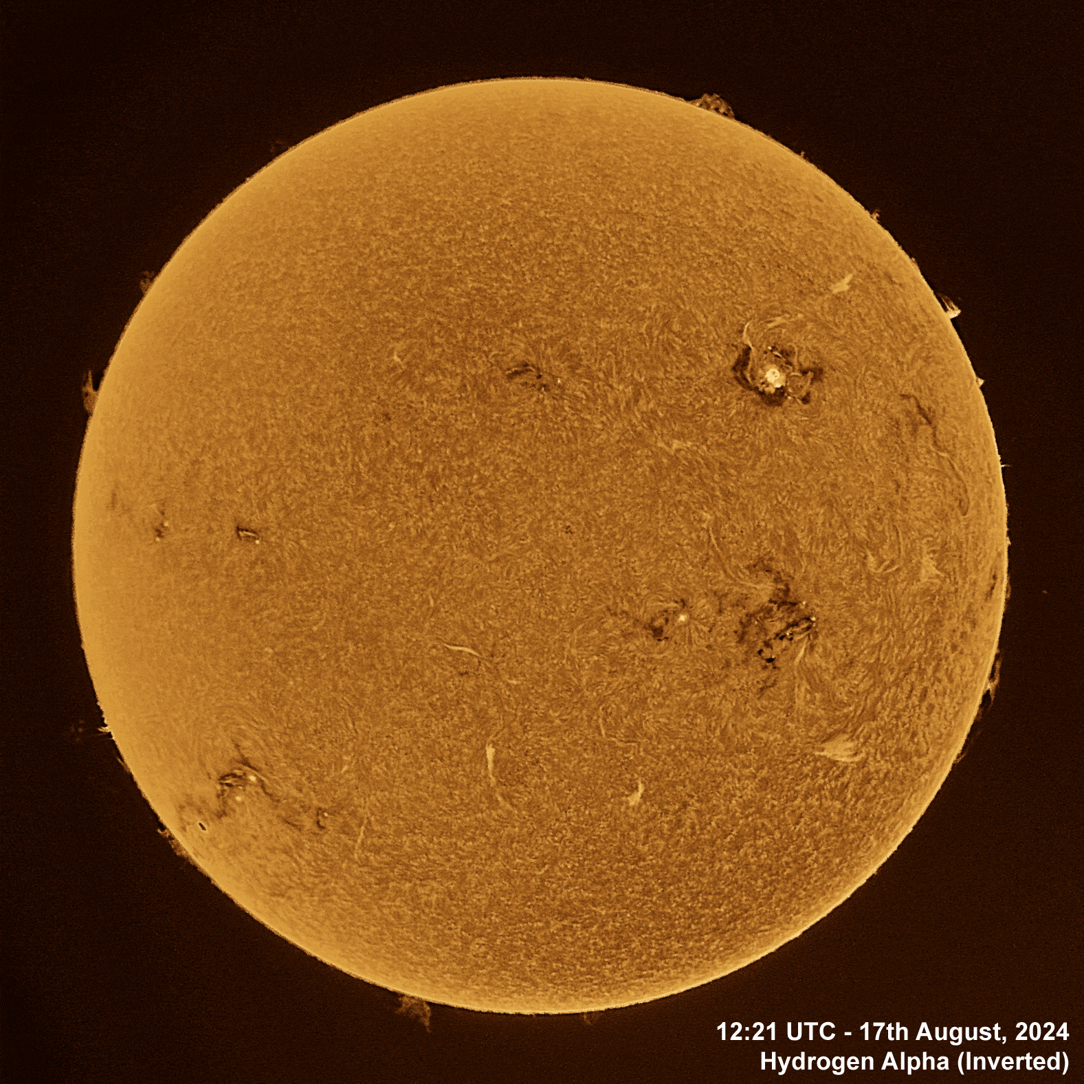 17th August 2024 Solar animation, Ha, 17th August, 2024