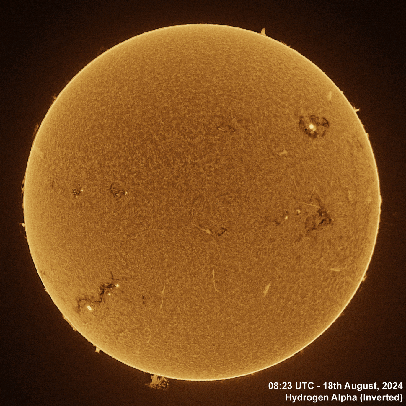 18th August 2024 Solar animation - Ha and White Light, 18th August, 2024