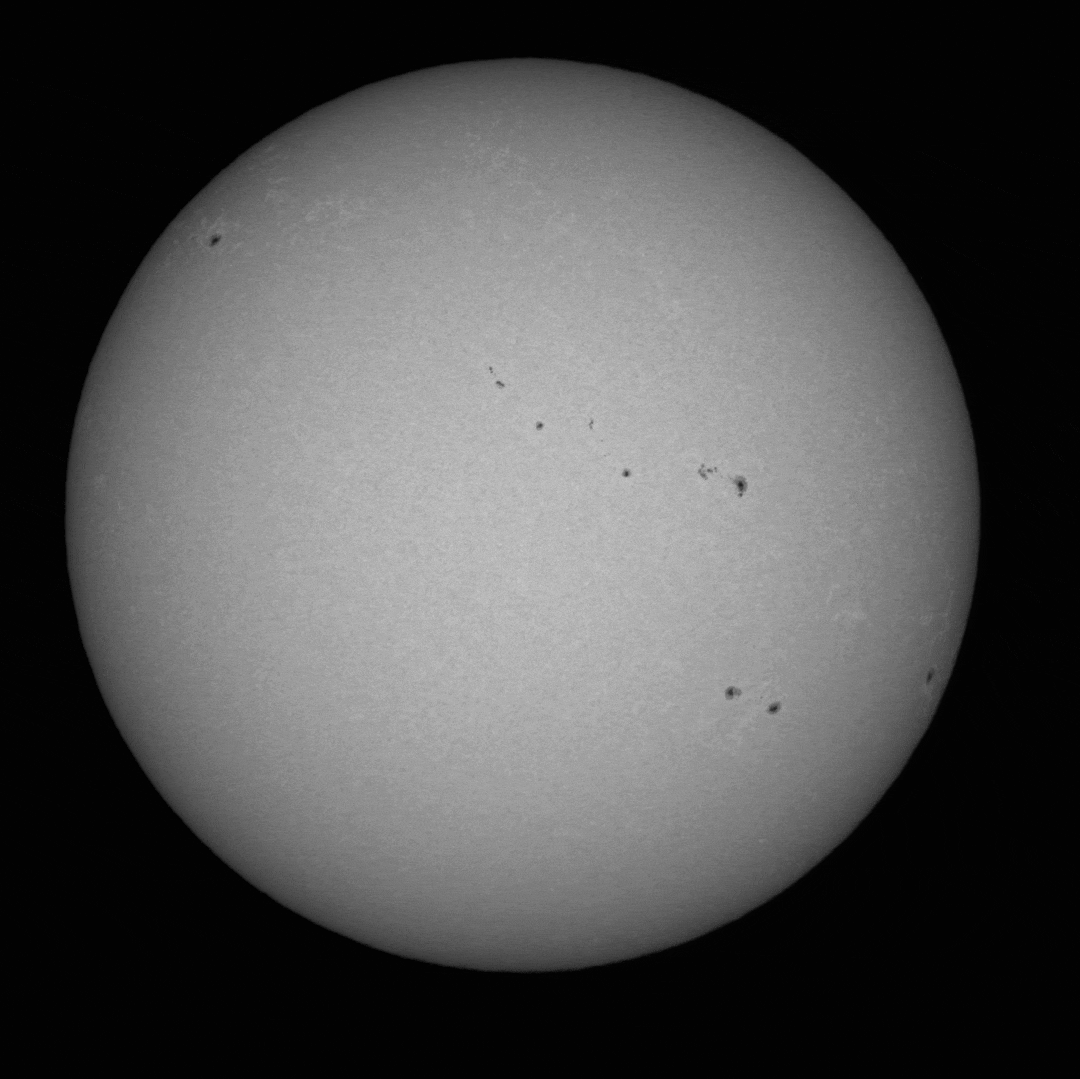 19th October 2024 - Bird Bird flying across the Sun - 19th October 2024