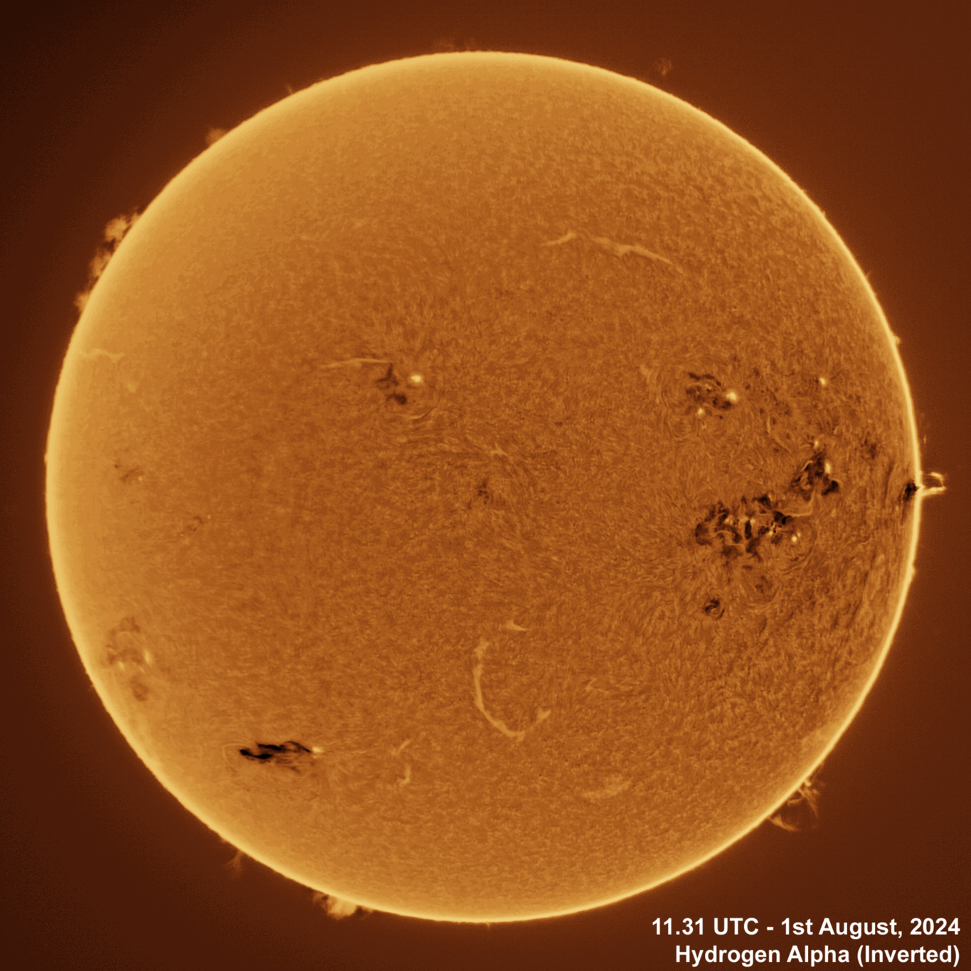 1st August 2024 Solar animation - Ha and White Light, 1st August, 2024