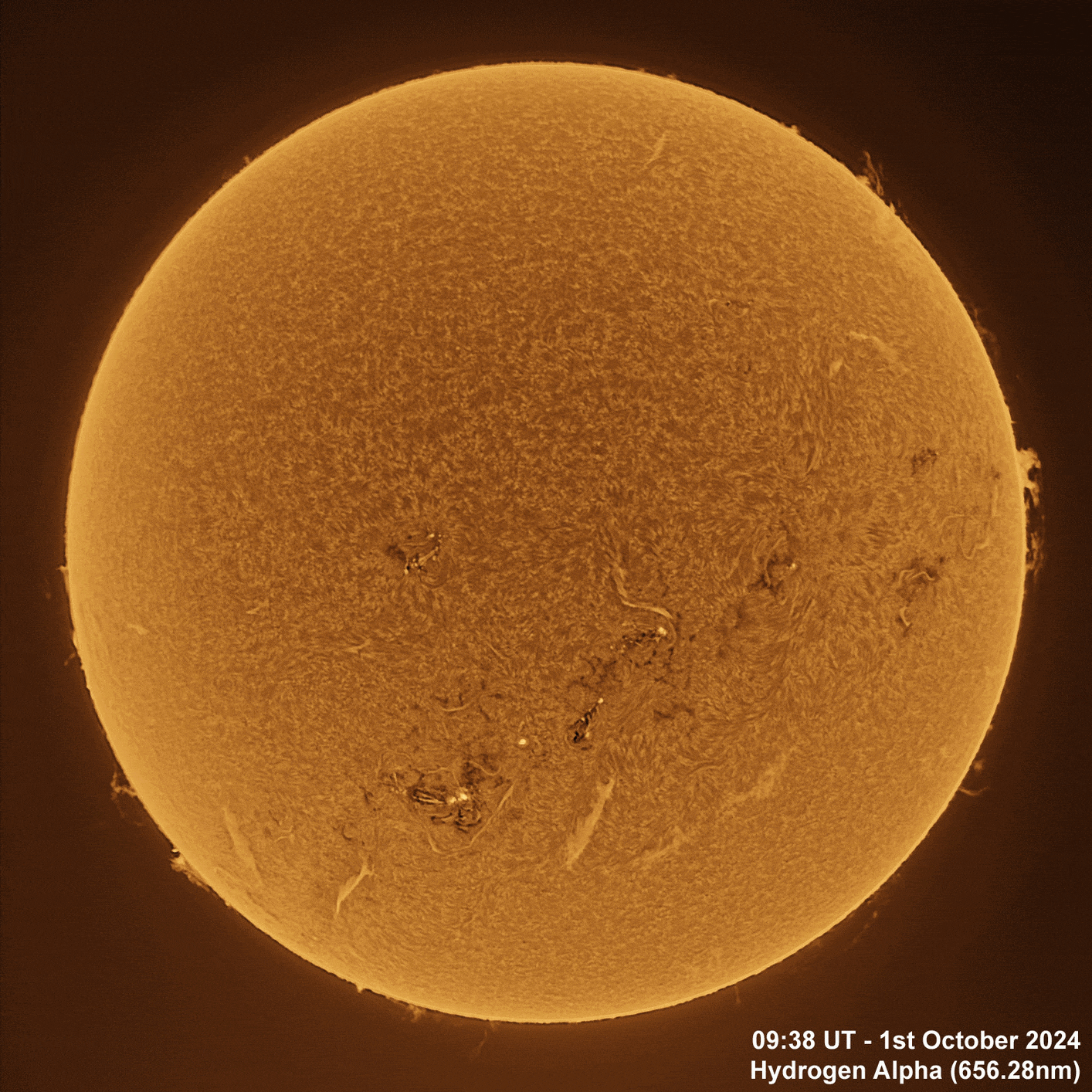 1st October 2024 Solar animation - Ha and White Light, 1st October, 2024