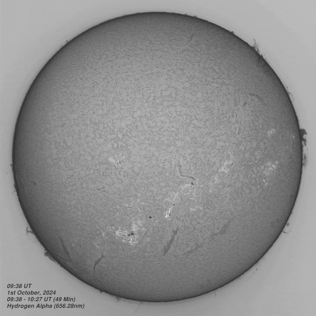 20241001_0938-1027UT_Ha Mono Solar Animation - 09:36-10:27UT - 1st October 2024