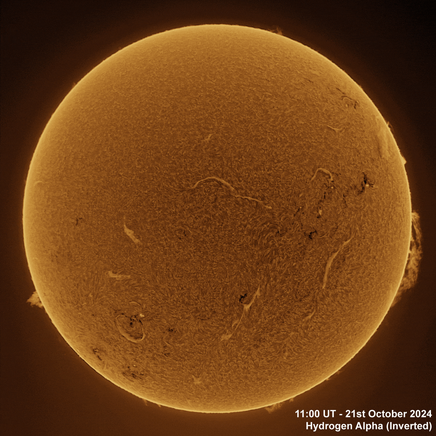 21st October 2024 Solar animation - Ha and White Light, 21st October, 2024