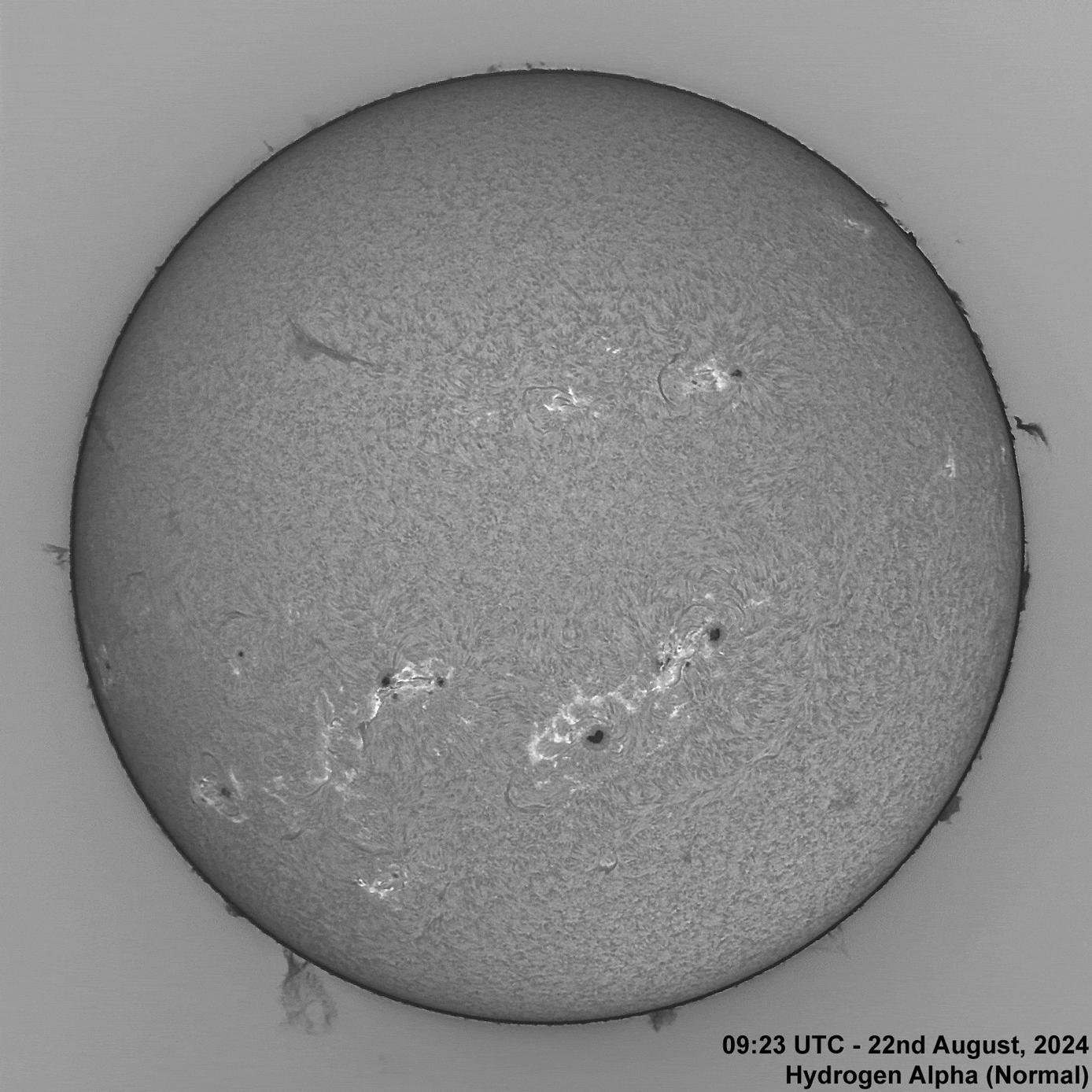 22nd August 2024 Solar animation - Ha and White Light, 22nd August, 2024
