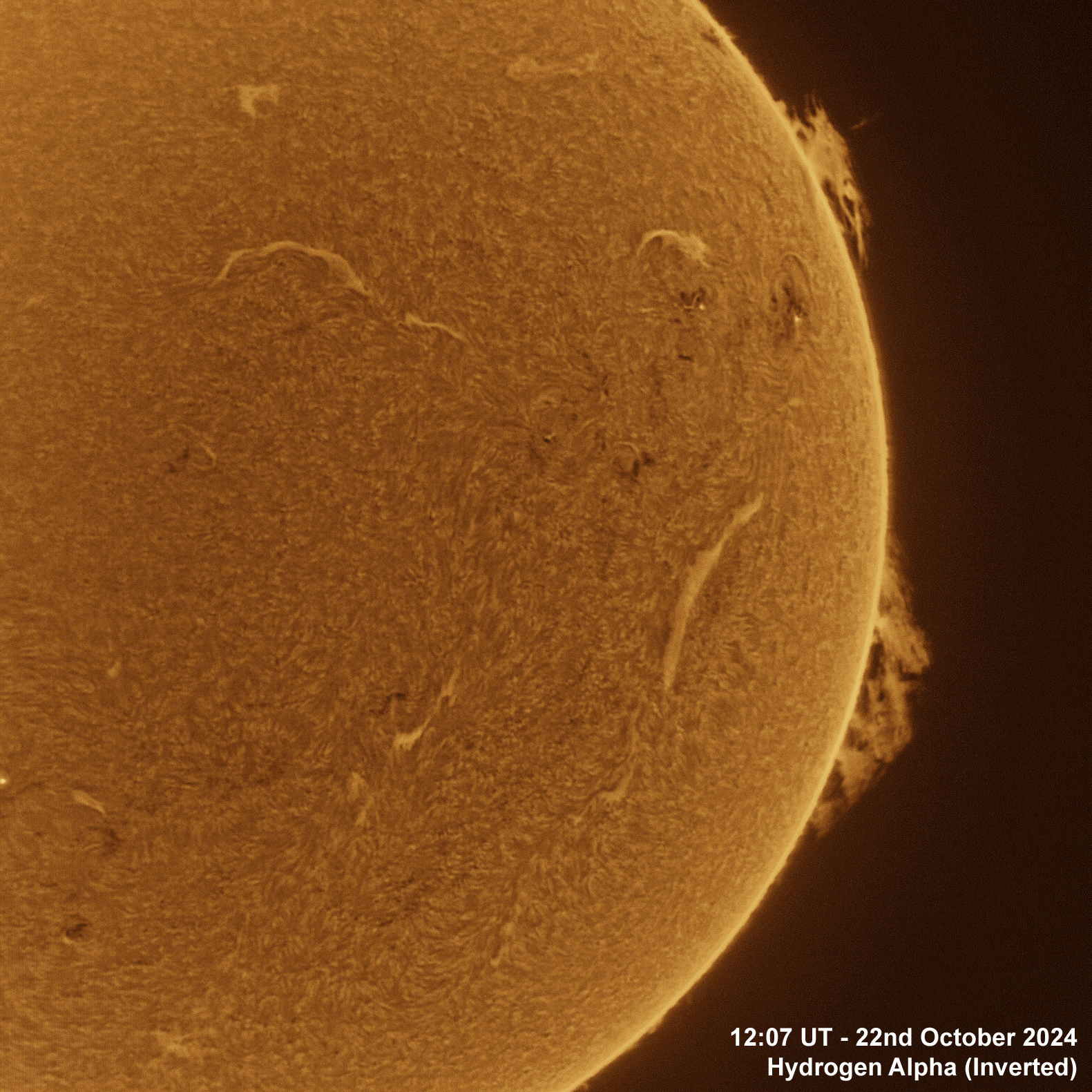22nd October 2024 Solar animation - Ha, 22nd October, 2024