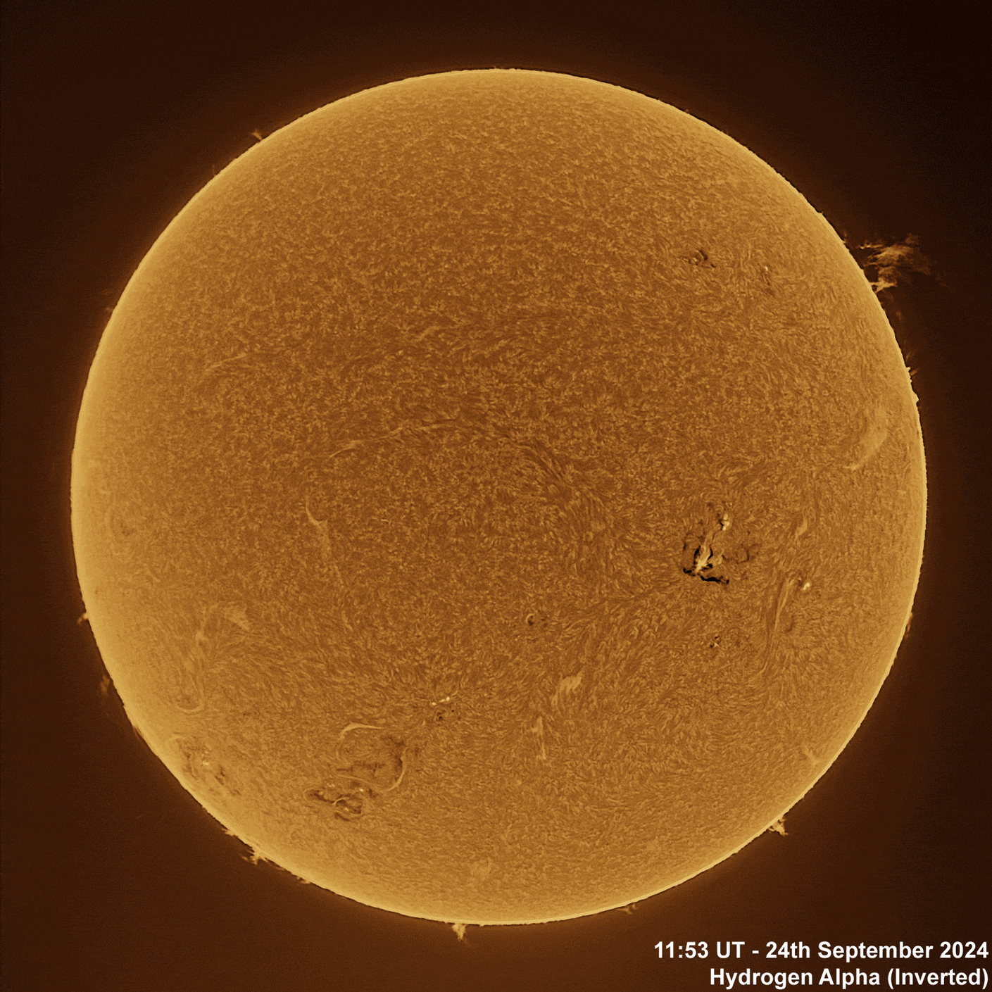 24th September 2024 Solar animation - Ha and White Light, 24th September, 2024