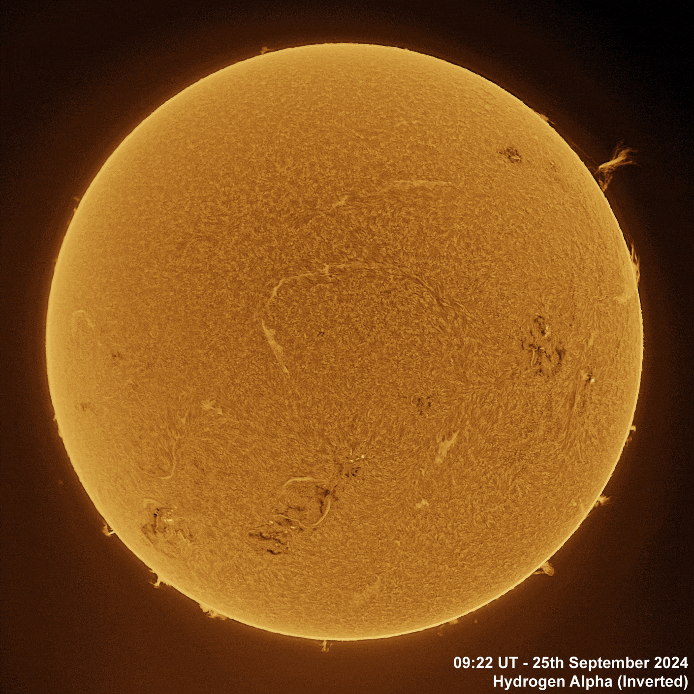 25th September 2025 Solar animation - Ha and White Light, 25th September, 2024
