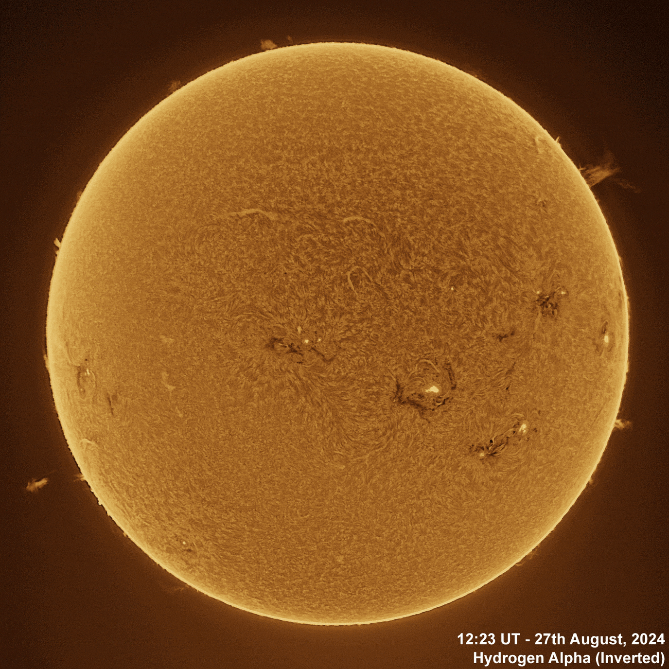 27th August 2024 Solar animation - Ha and White Light, 27th August, 2024
