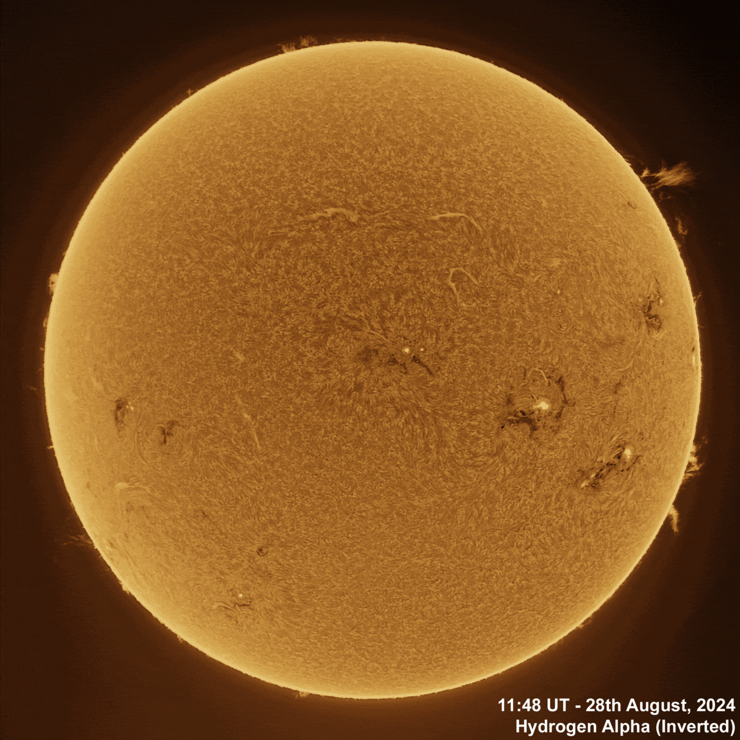 28th August 2024 Solar animation - Ha and White Light, 28th August, 2024