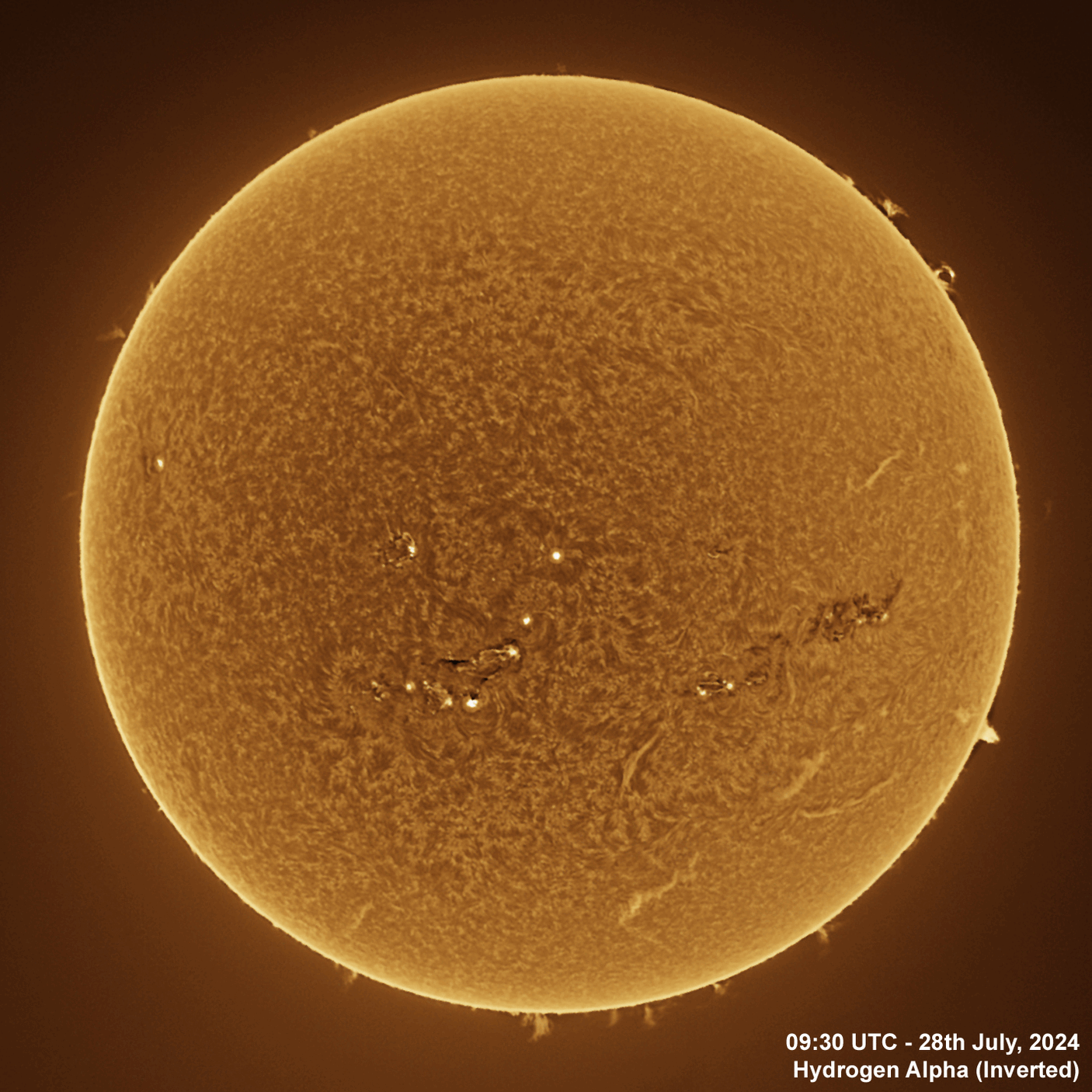 28th July 2024 Solar animation - Ha and White Light, 28th July, 2024