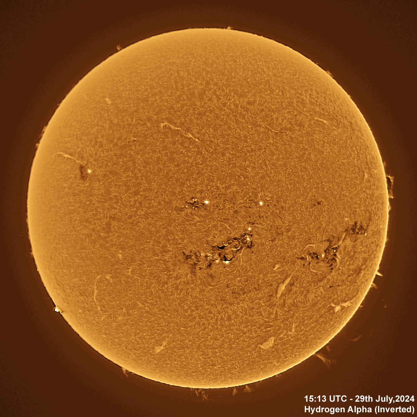 29th July 2024 Solar animation Ha - 29th July, 2024