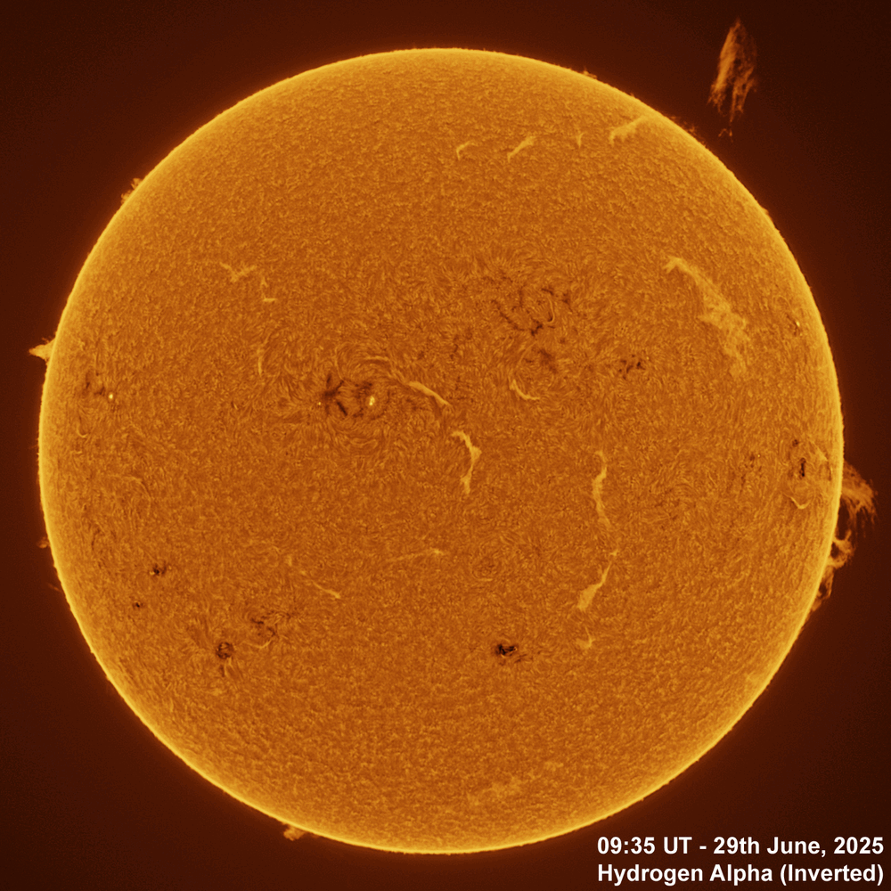 29th June 2025 Animation 29th June, 2025 - Sun in Ha CaK & G-Band