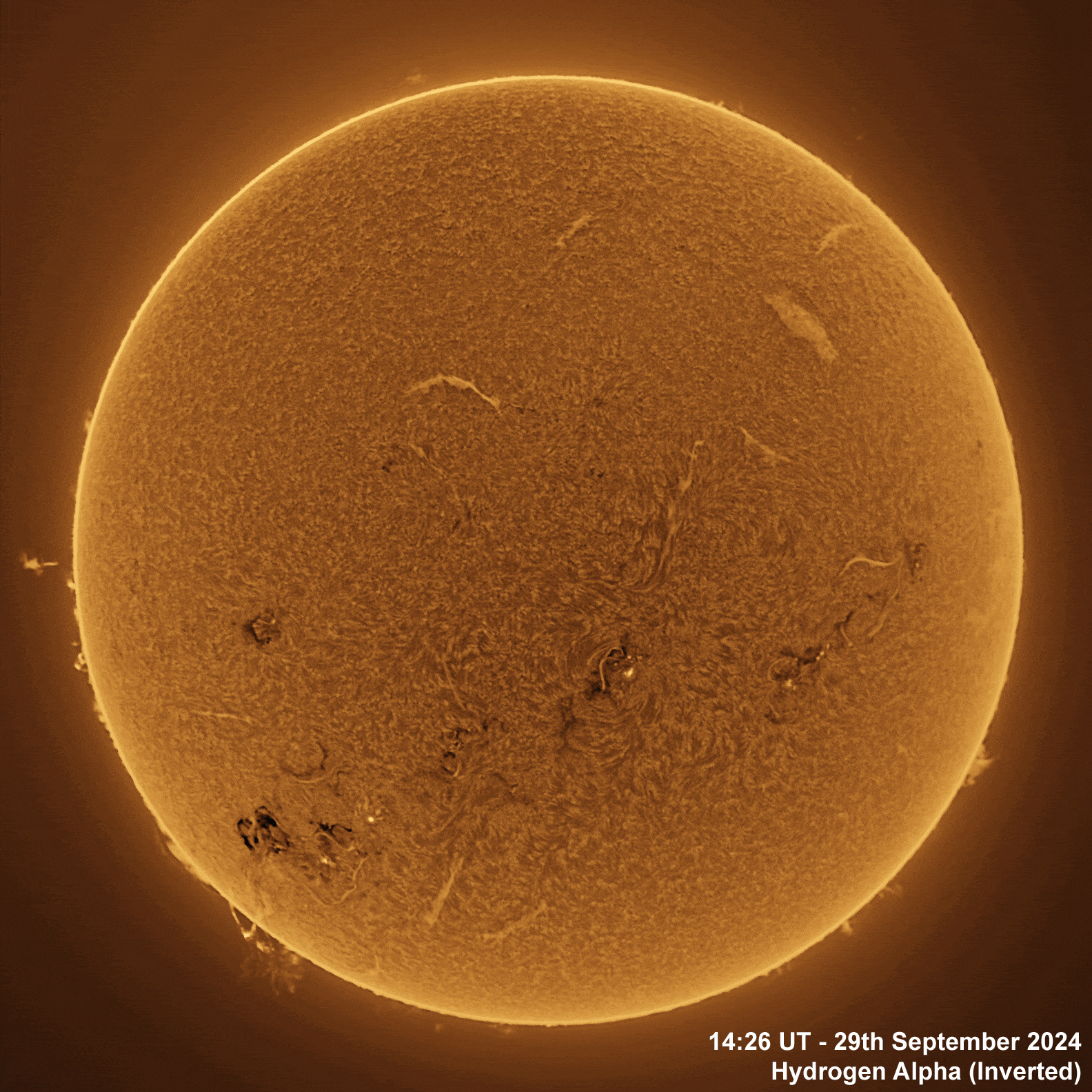 29th September 2024 Solar animation - Ha, 29th September, 2024