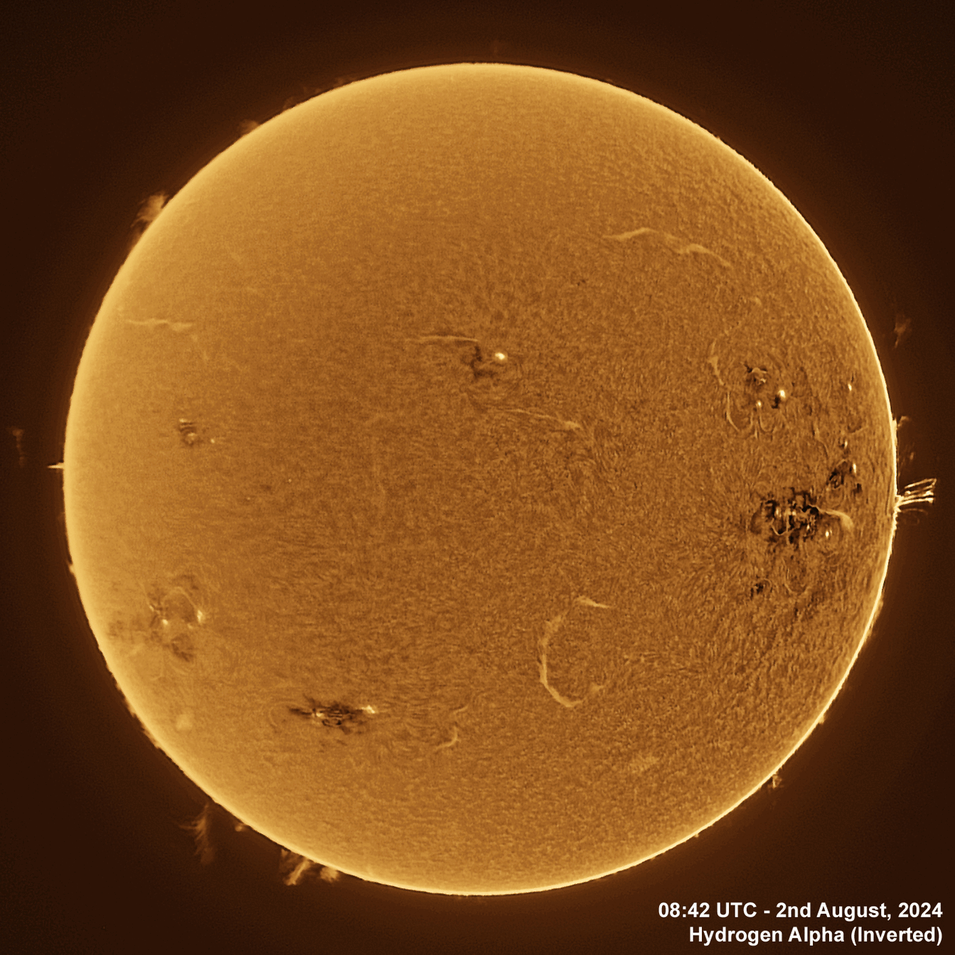 2nd August 2024 Solar animation - Ha and White Light, 2nd August, 2024