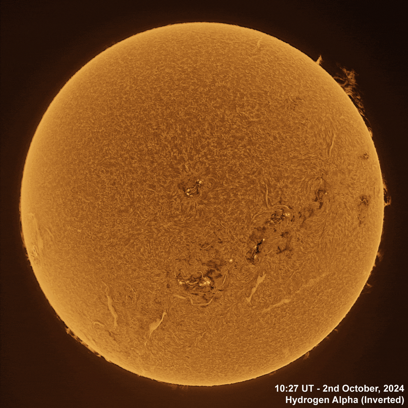 2nd October 2024 Solar animation - Ha and White Light, 2nd October, 2024