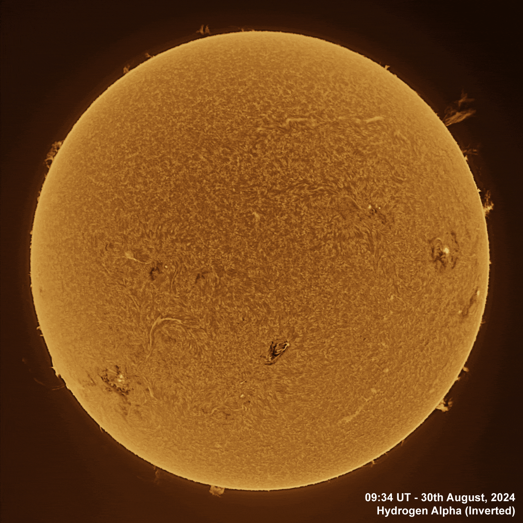 30th August 2024 Solar animation - Ha and White Light, 30th August, 2024
