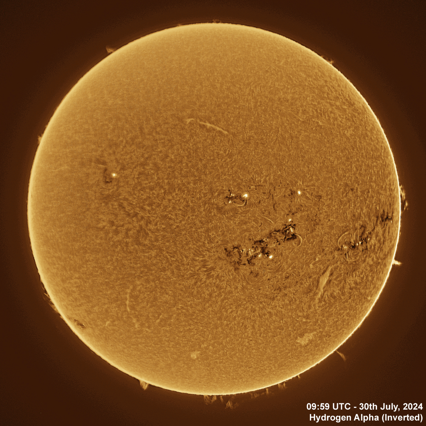 30th July 2024 Solar animation - Ha and White Light, 30th July, 2024